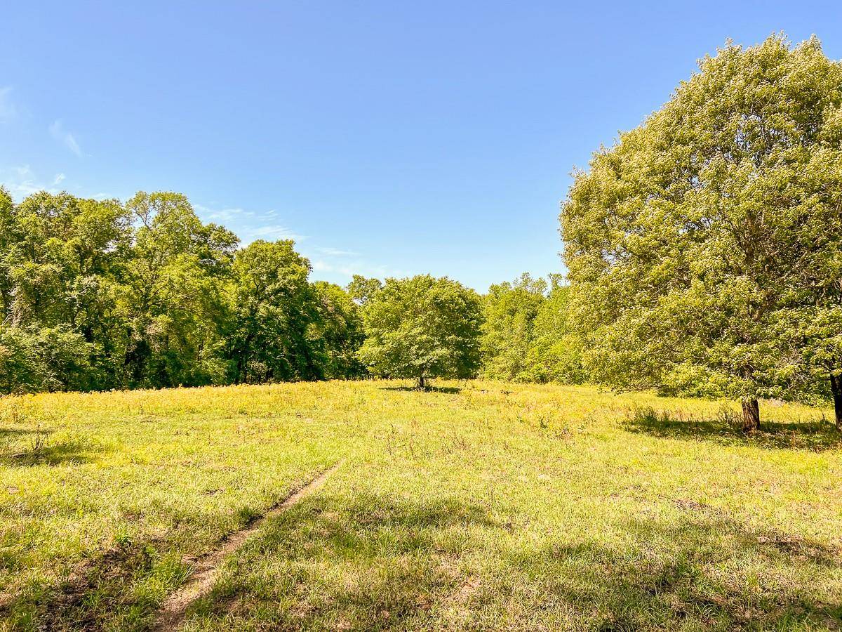 Huntsville, TX 77340,000 Robinson Creek Rd