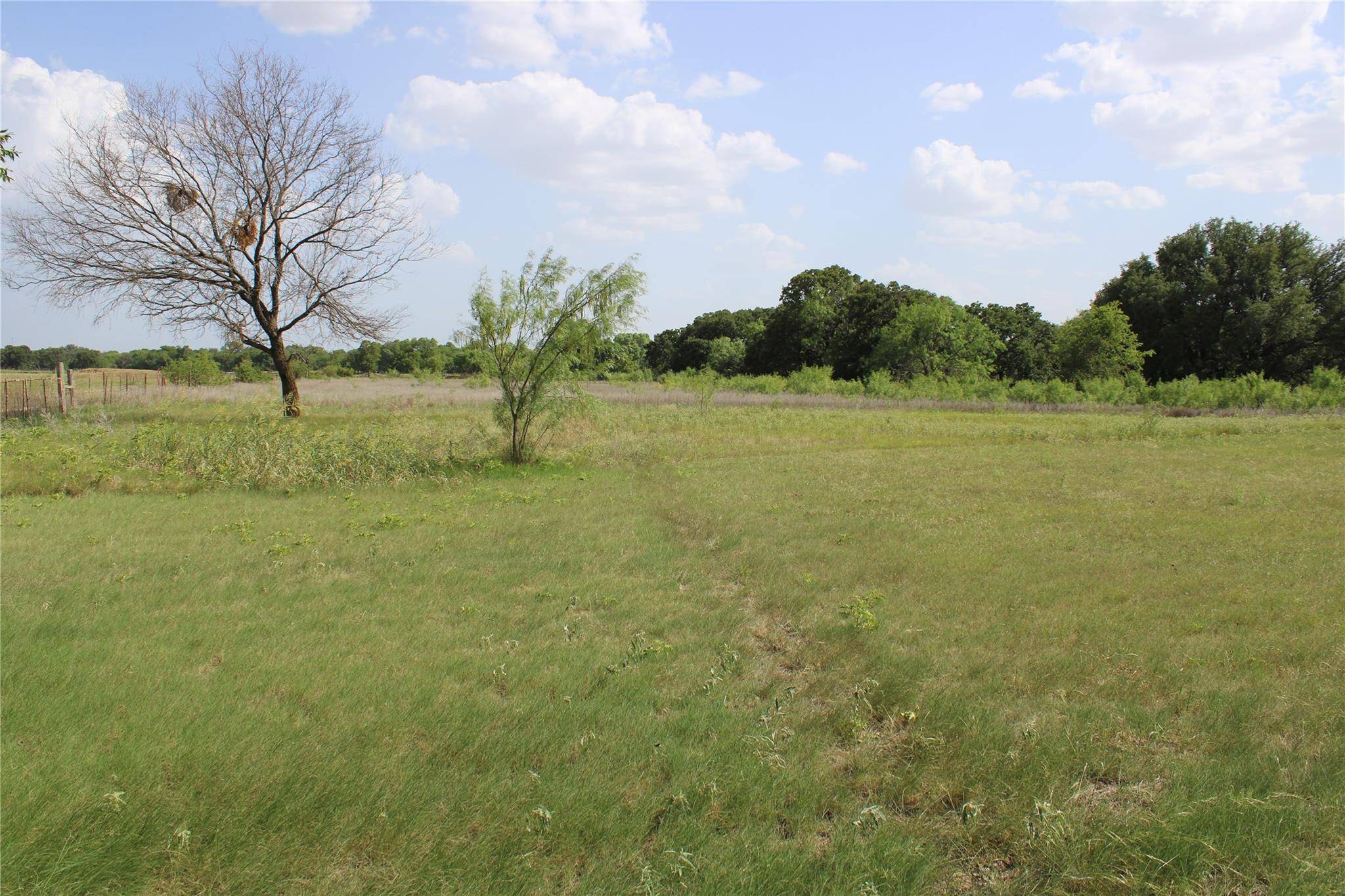 Cross Plains, TX 76443,10167 County Road 432