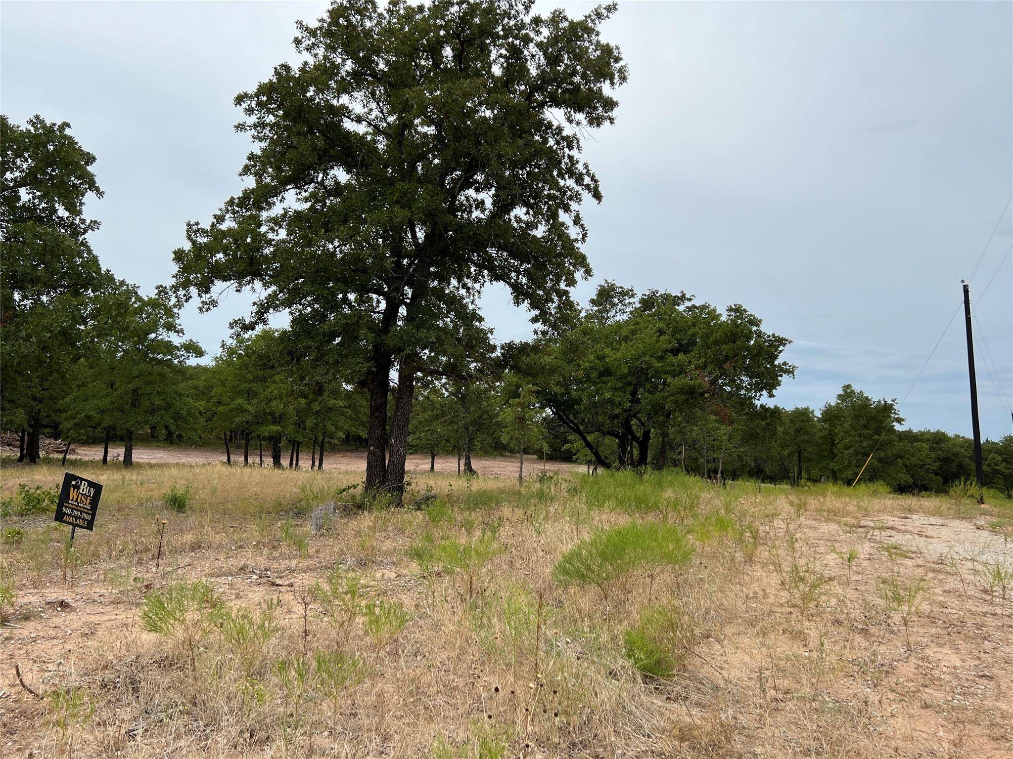 Alvord, TX 76225,TBD Creek Crossing