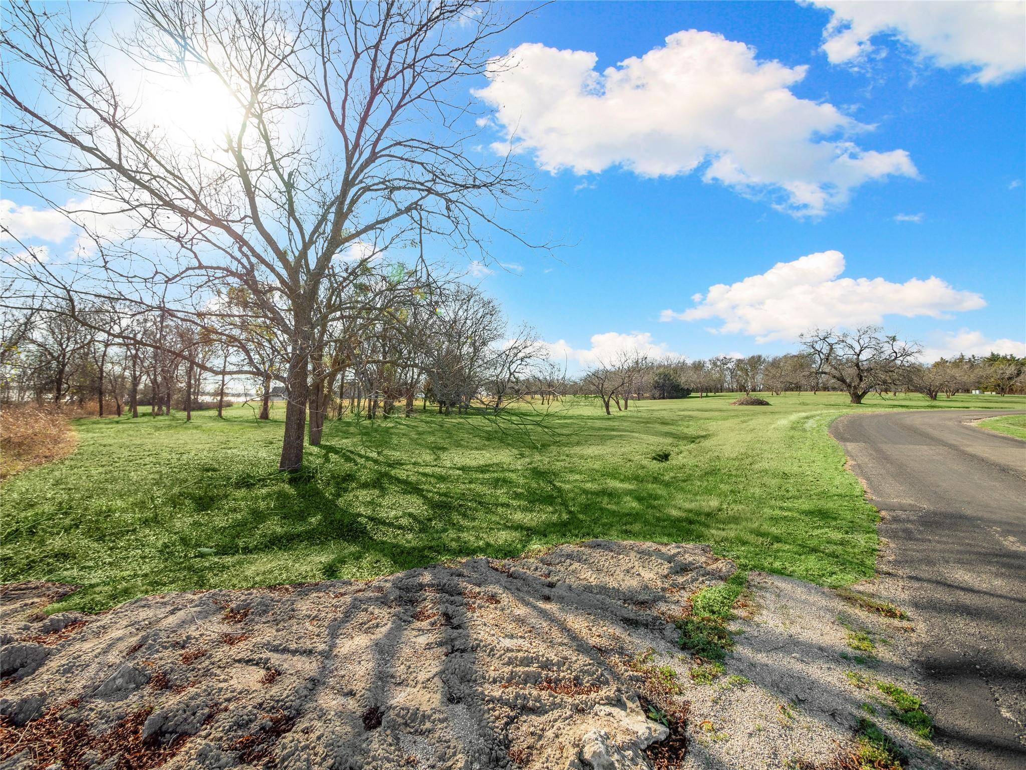 Kerens, TX 75144,Lot 9 Francisco Bay