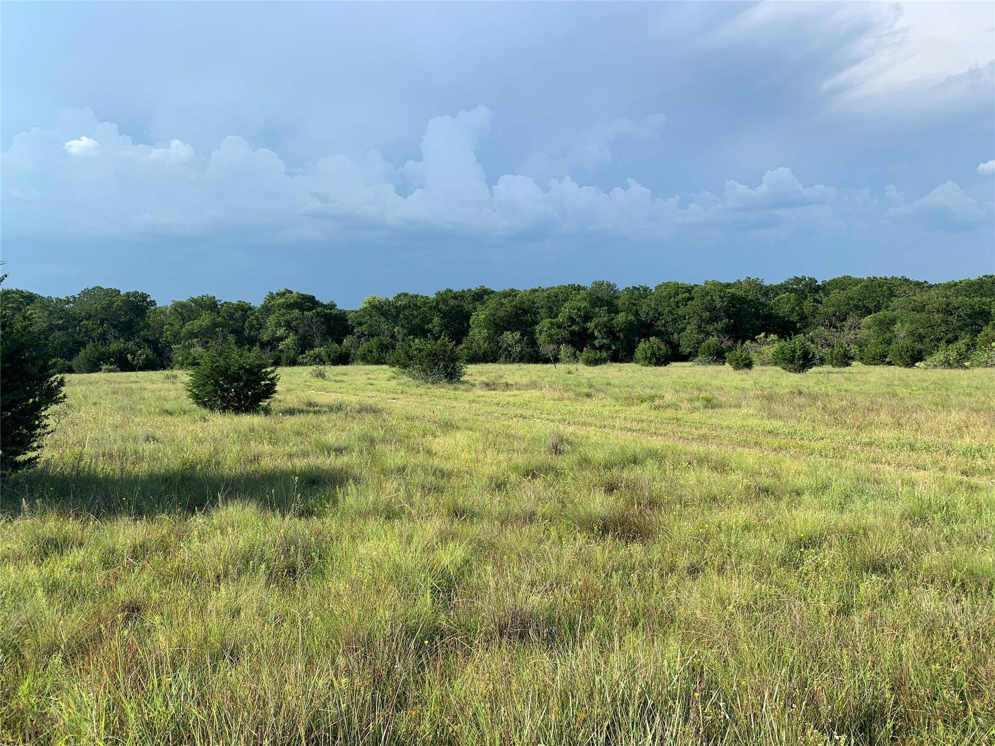 Burnet, TX 78611,6 CR 101