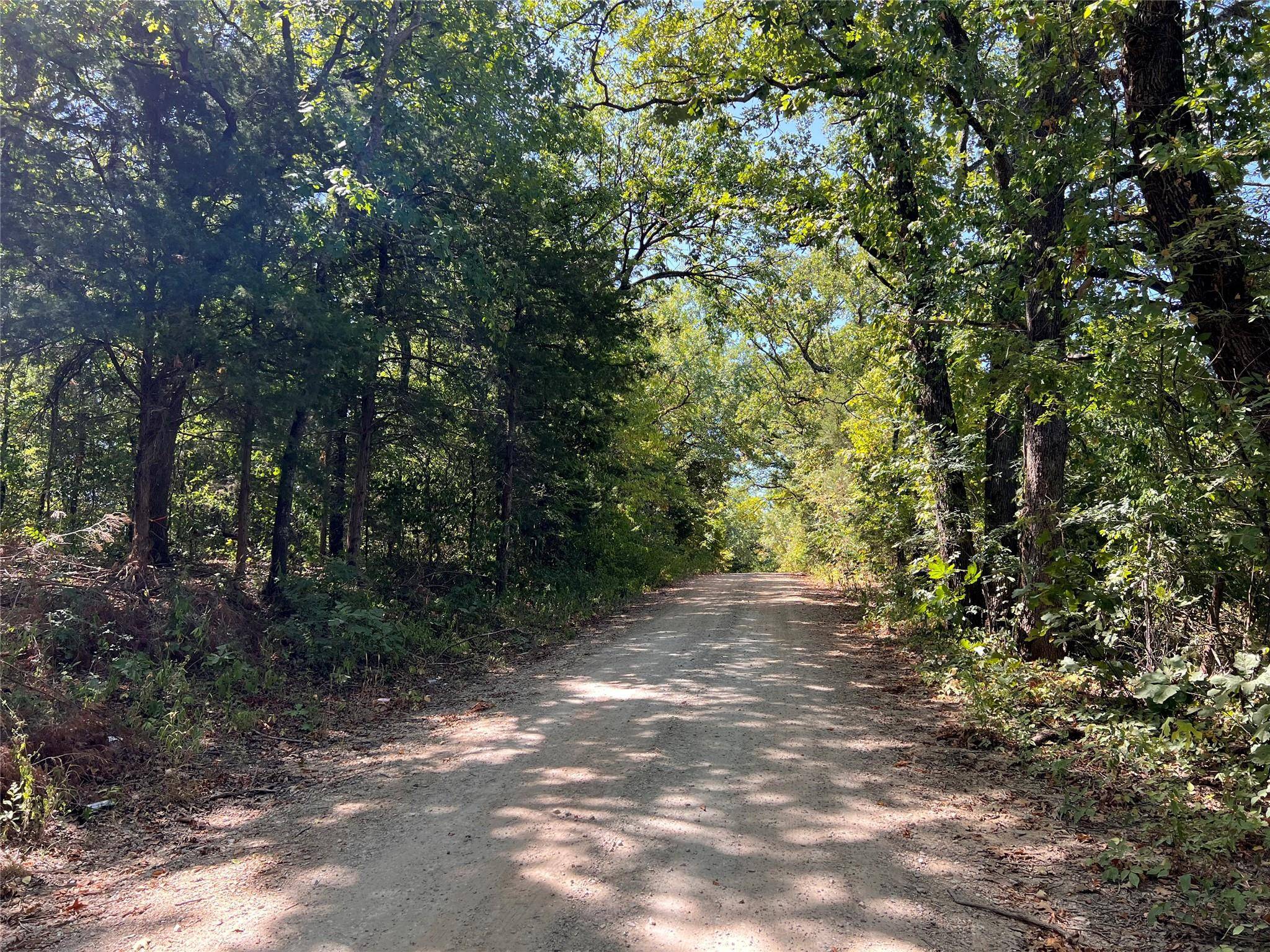 Honey Grove, TX 75446,001 Lake Shore Drive