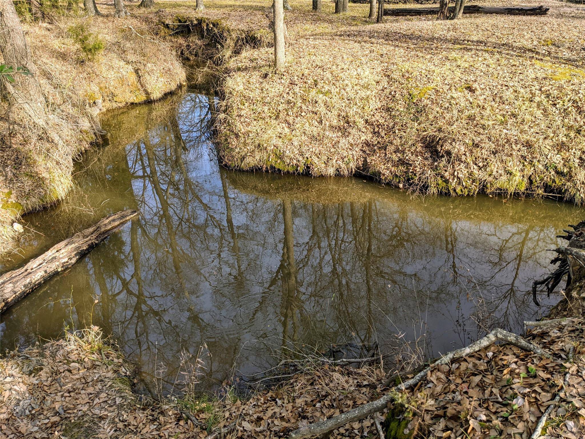 Mabank, TX 75156,134 Buffalo Springs Road