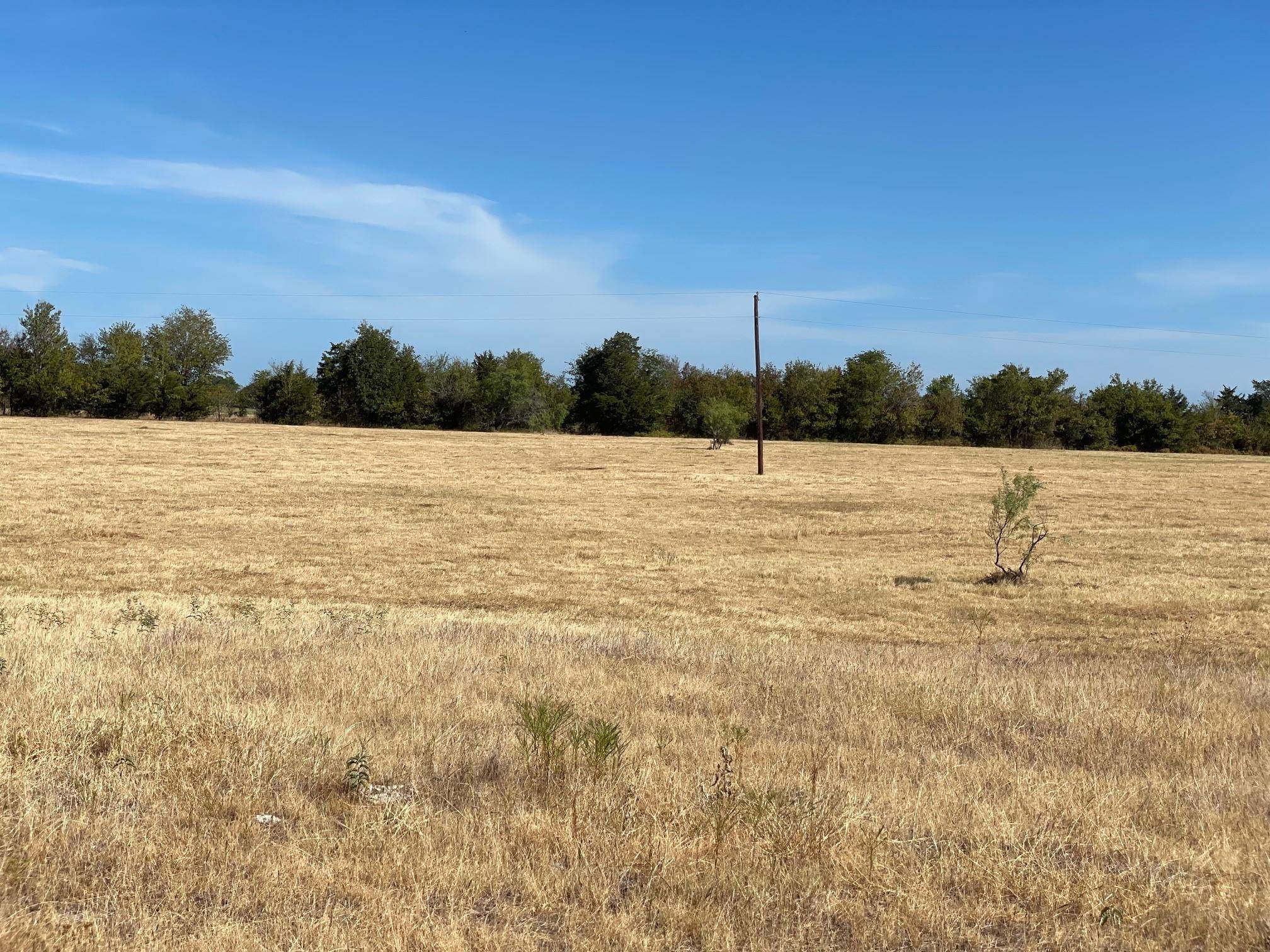 Teague, TX 75860,0000 TBD FCR 711