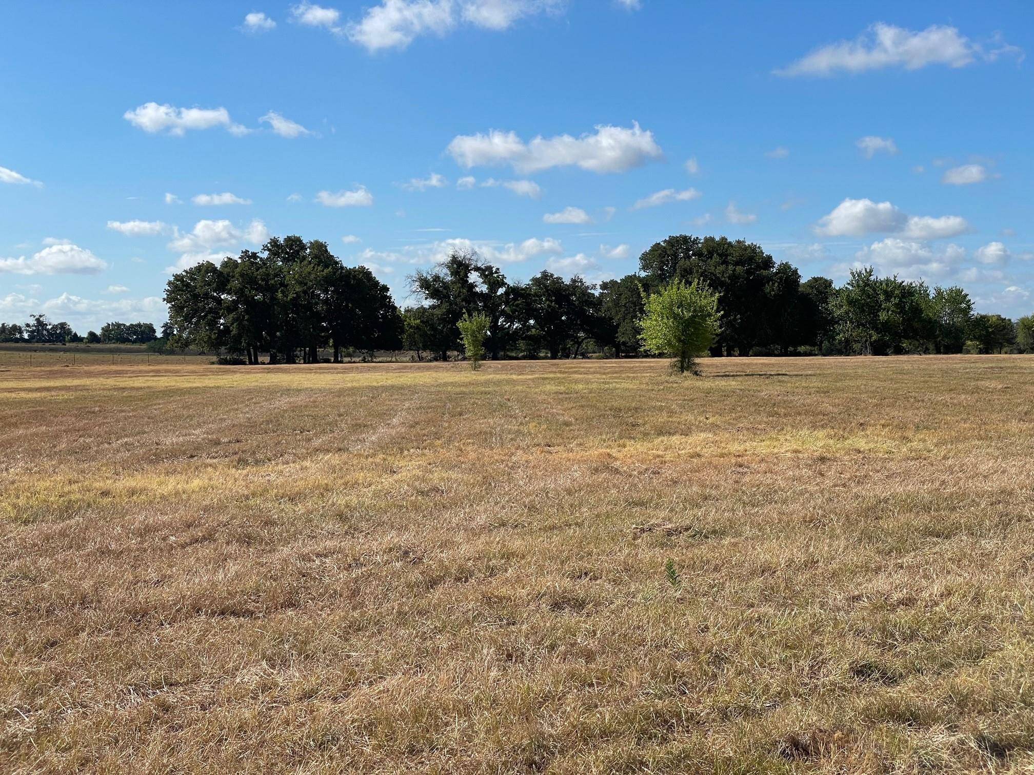 Teague, TX 75860,000 TBD FCR 711