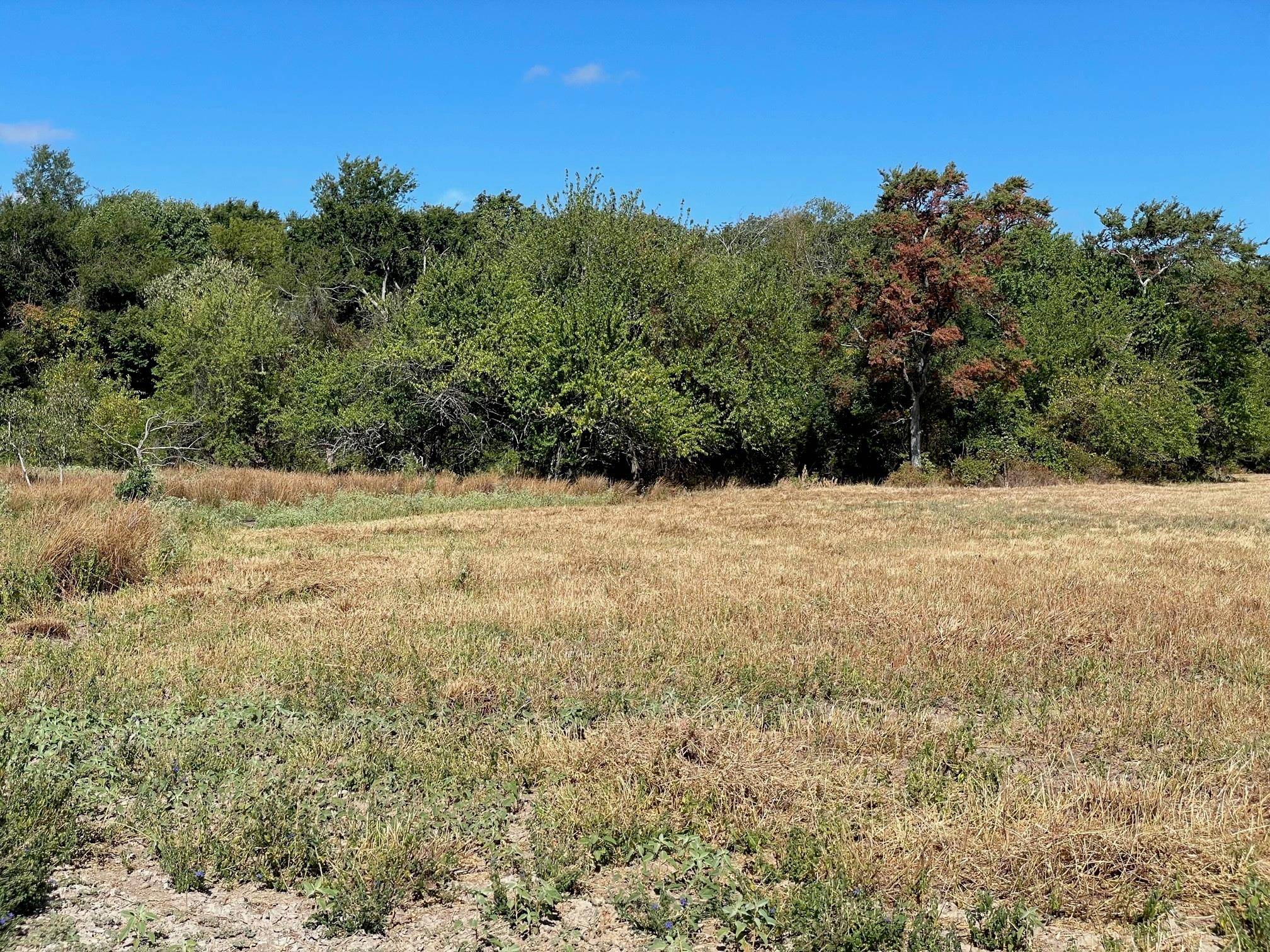 Teague, TX 75860,000 TBD FCR 711