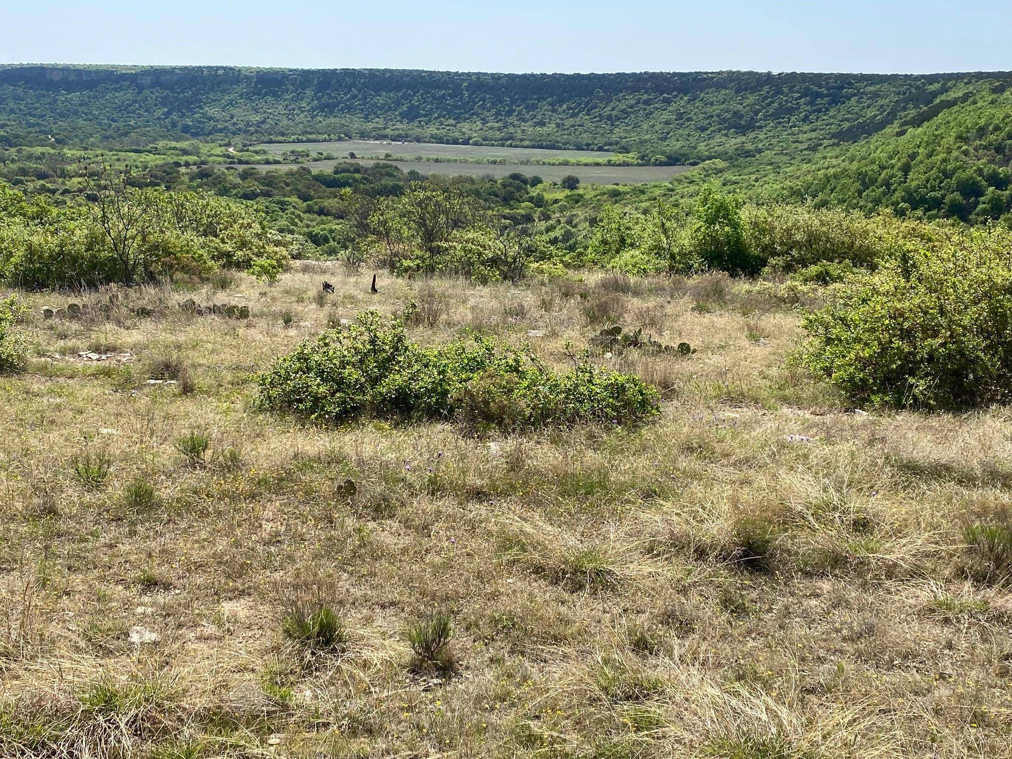 Possum Kingdom Lake, TX 76449,450 Oak Tree Drive