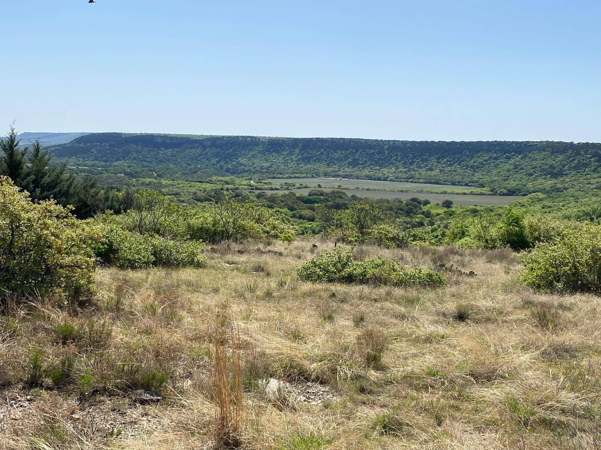 Possum Kingdom Lake, TX 76449,450 Oak Tree Drive