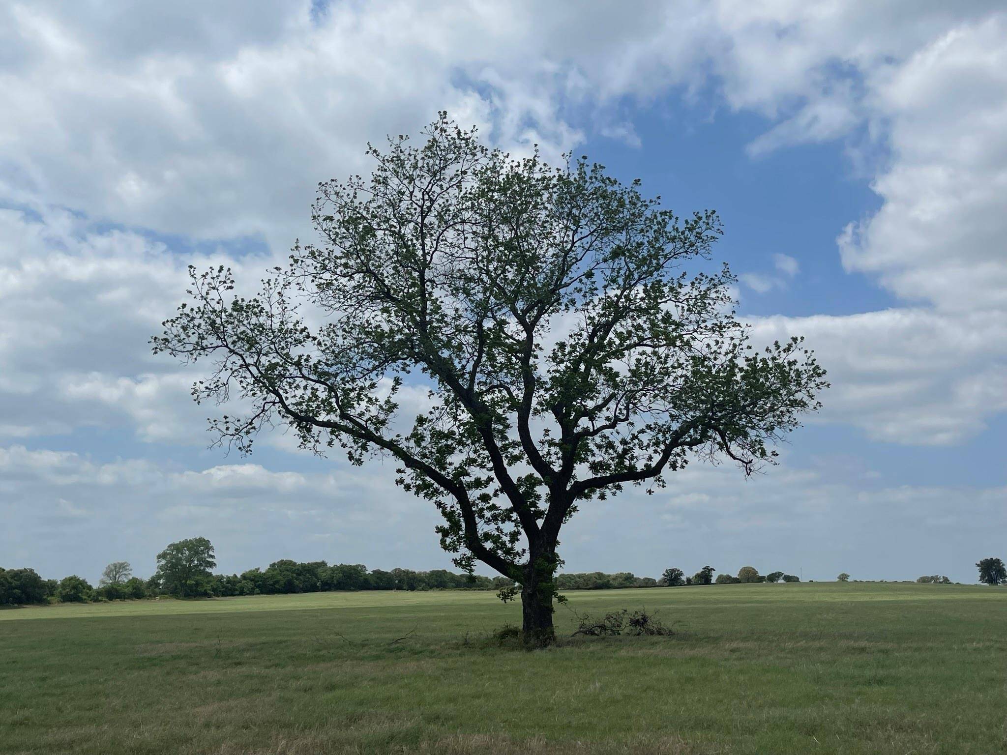 Tolar, TX 76476,TBD B Nix Road