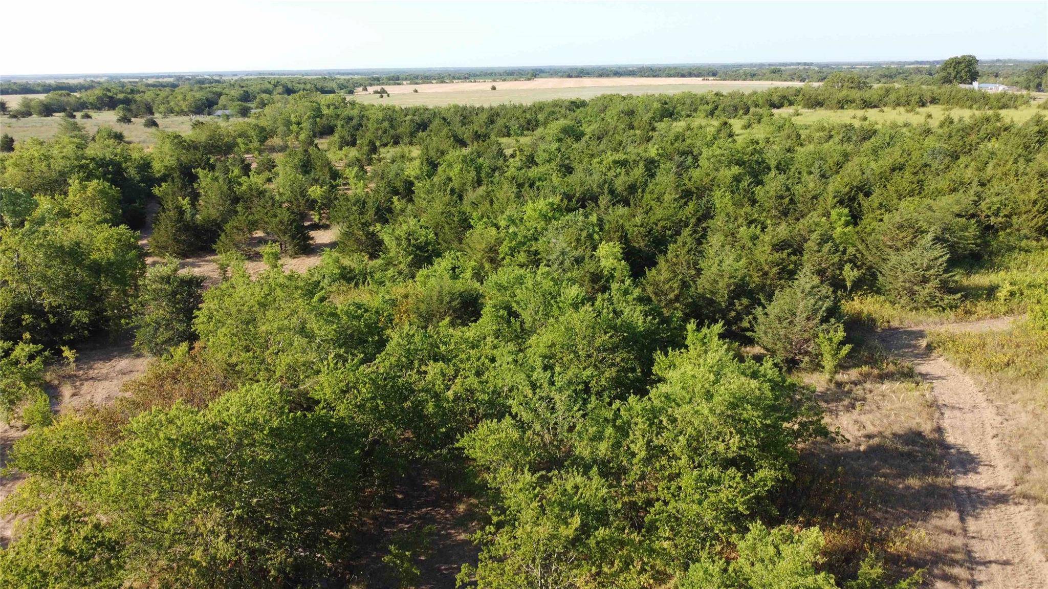 Honey Grove, TX 75446,3425 County Road #TRACT 3