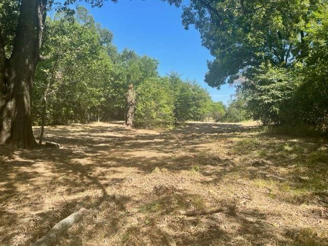 Purdon, TX 76679,TBD Lot 2 County Road 3140