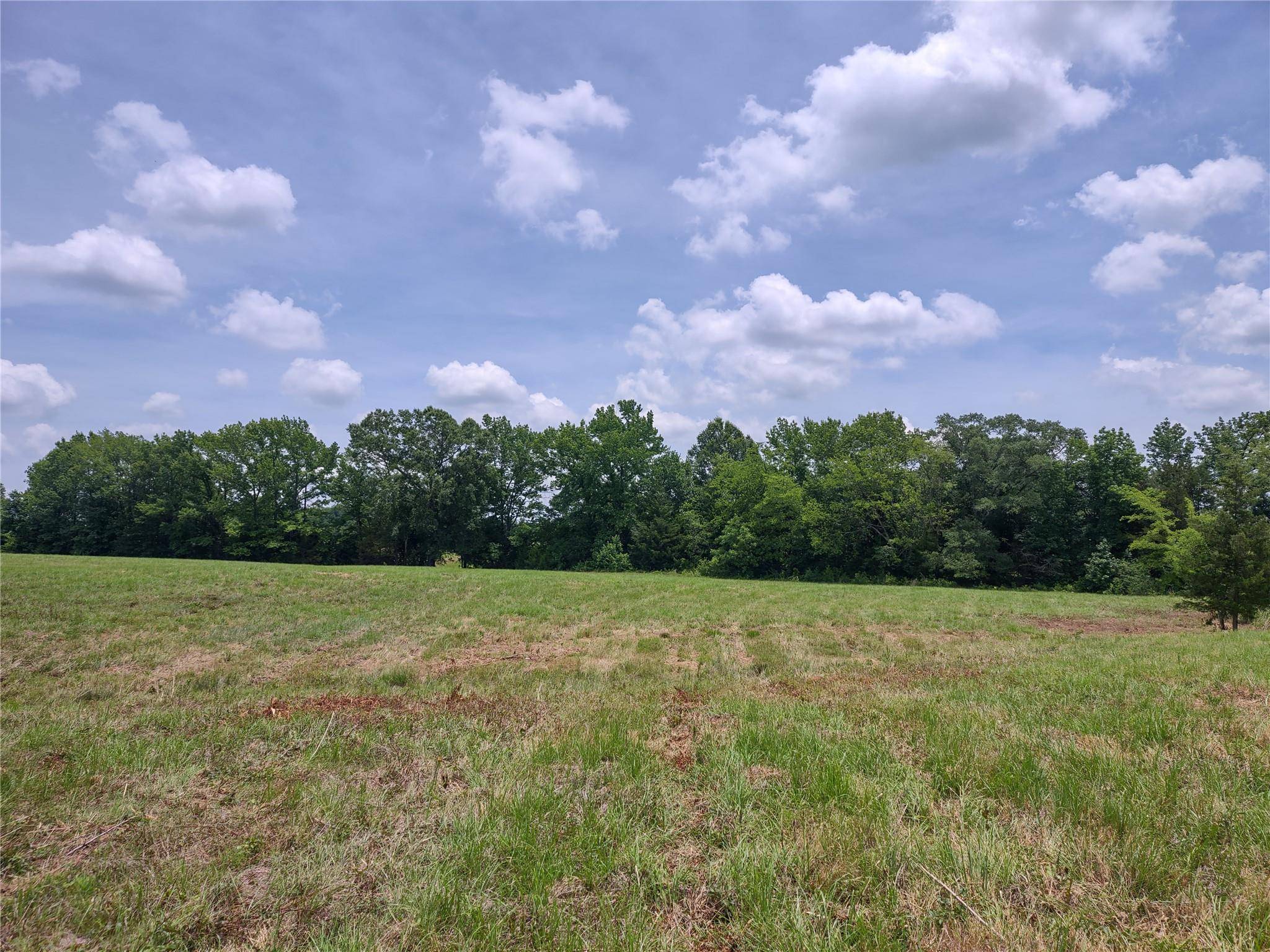 Mount Pleasant, TX 75455,Tract 3 CR 4330