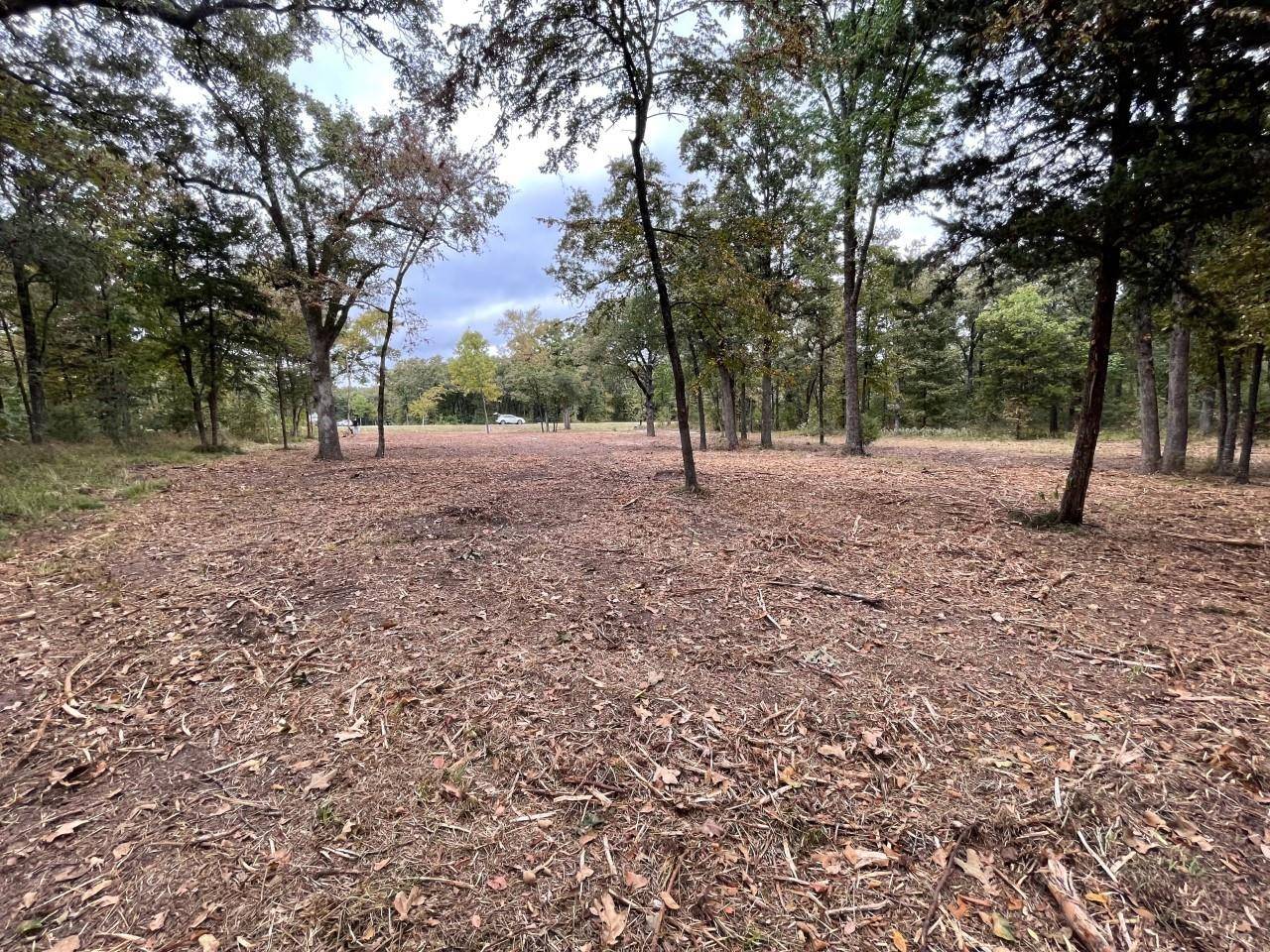 Quinlan, TX 75474,Lot 6 Big Water Way