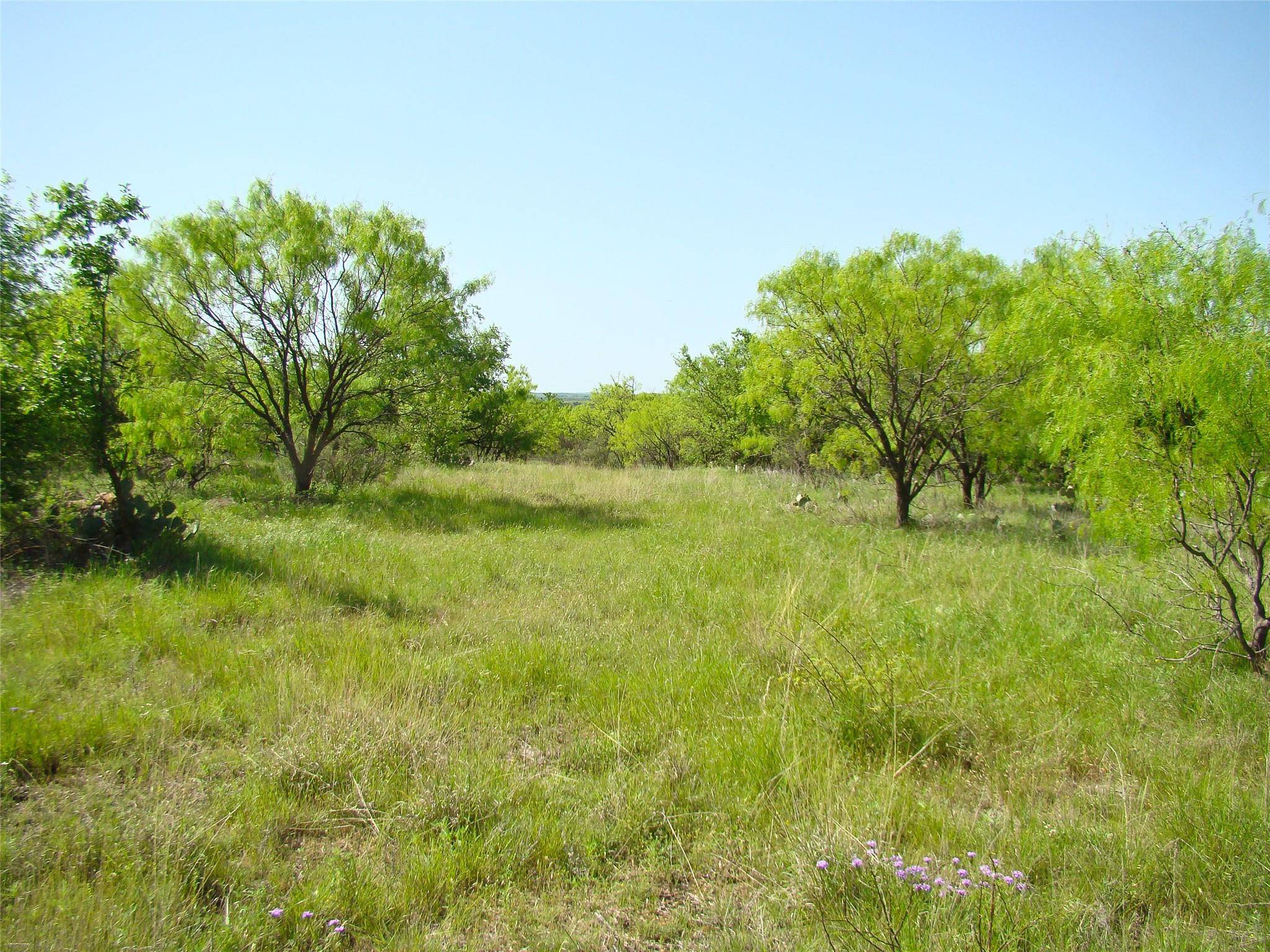 Cisco, TX 76437,TBD FM 2945