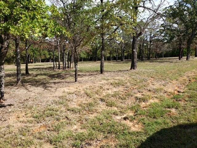 Glen Rose, TX 76043,TBD Falcon Drive