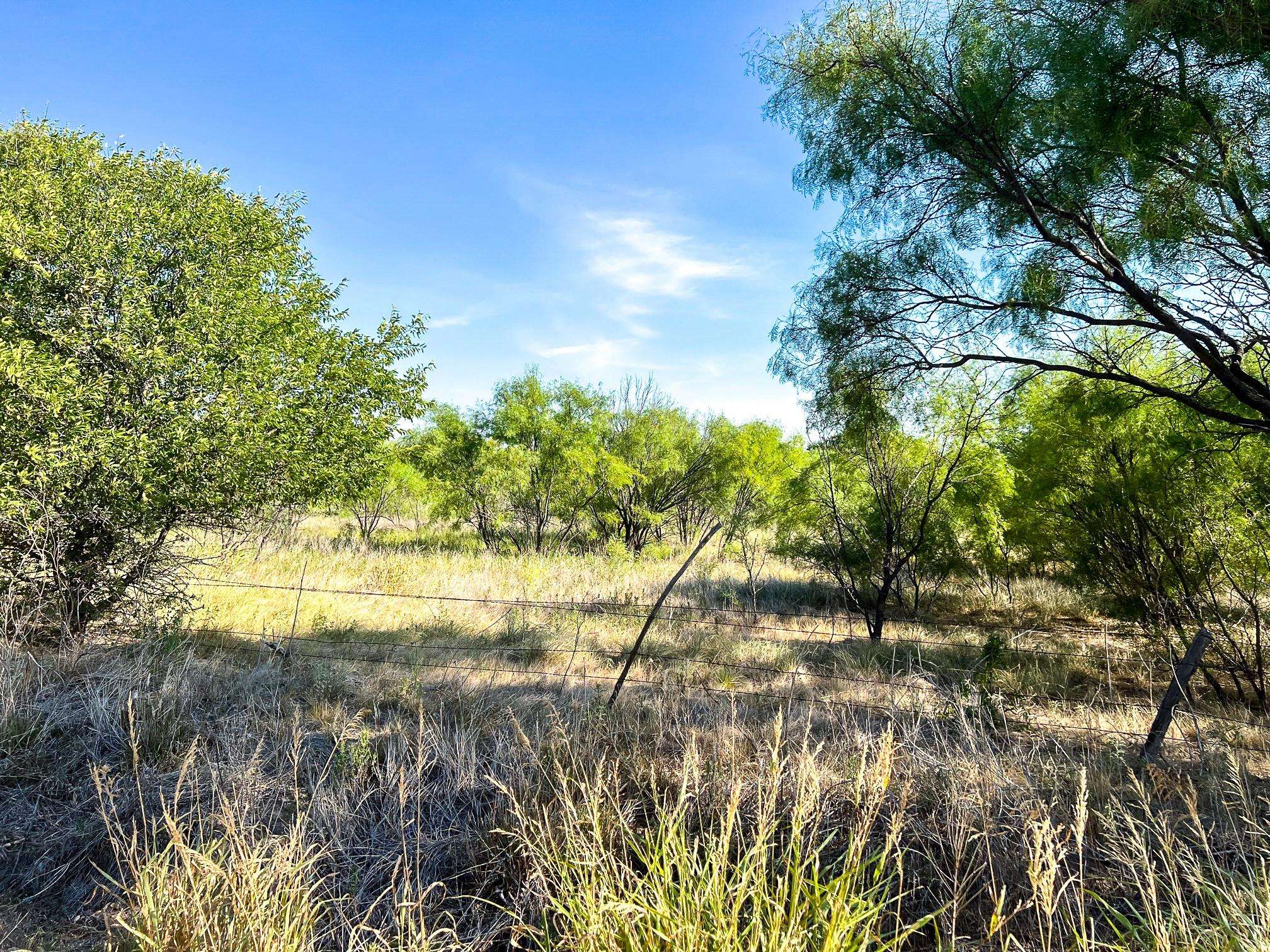 Weinert, TX 76388,TBD CR 230