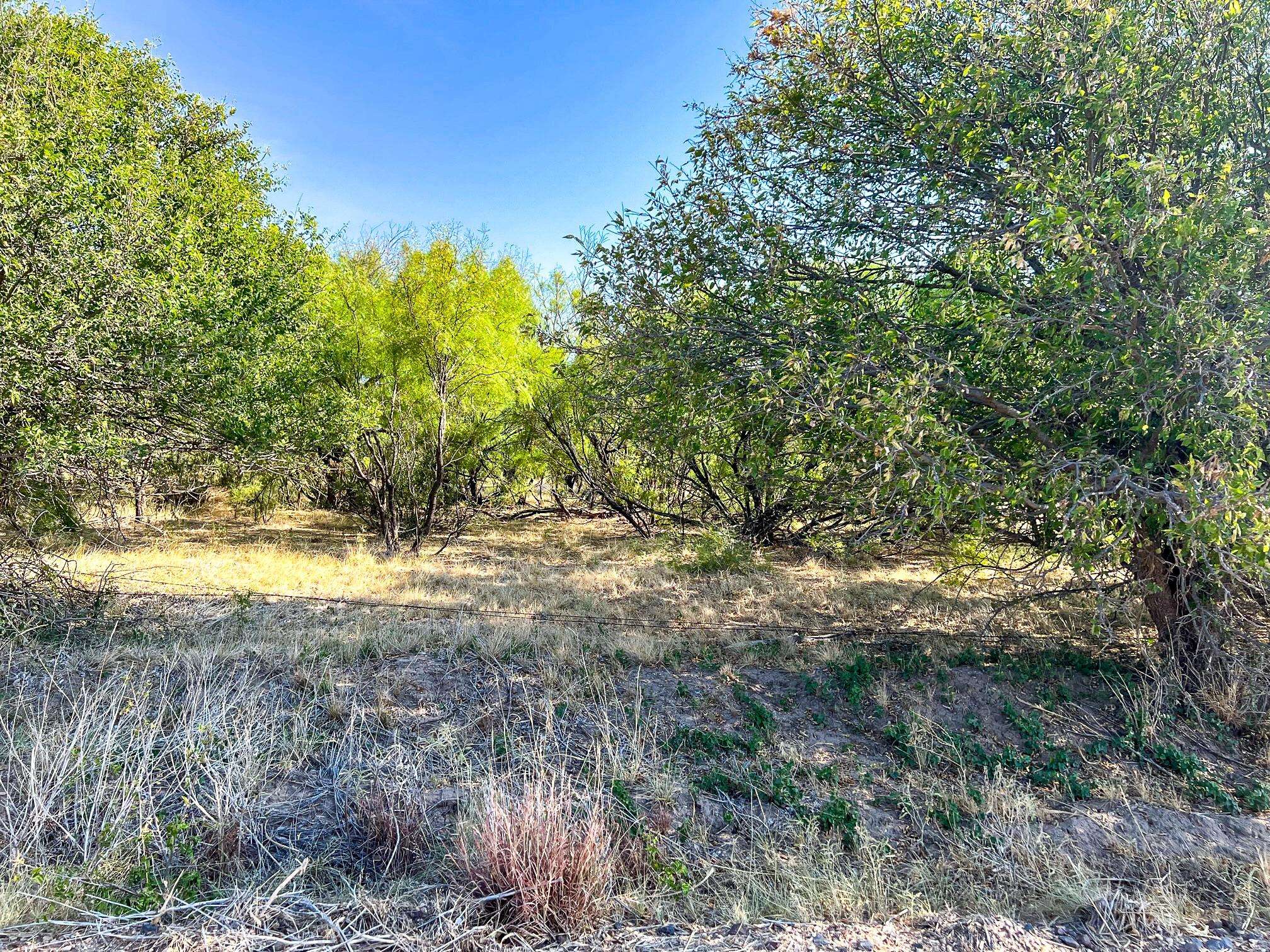 Weinert, TX 76388,TBD CR 230