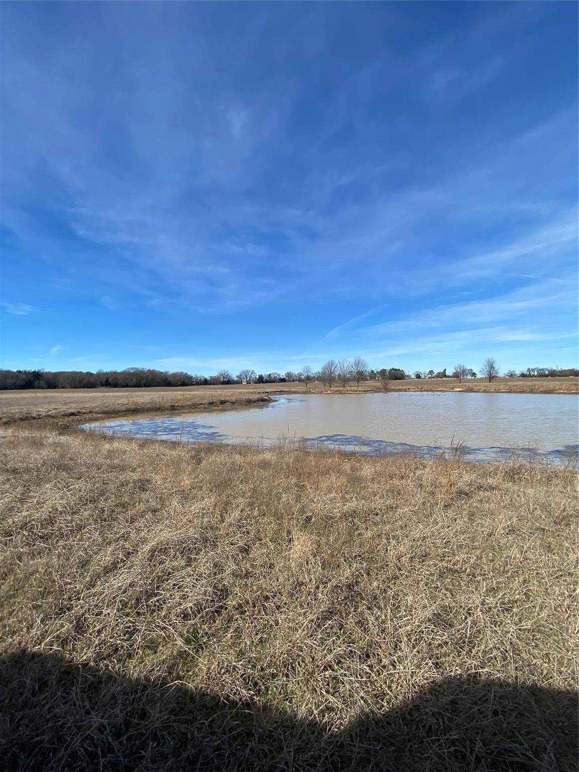 Saltillo, TX 75471,Lot 14 Farm Road 269 S