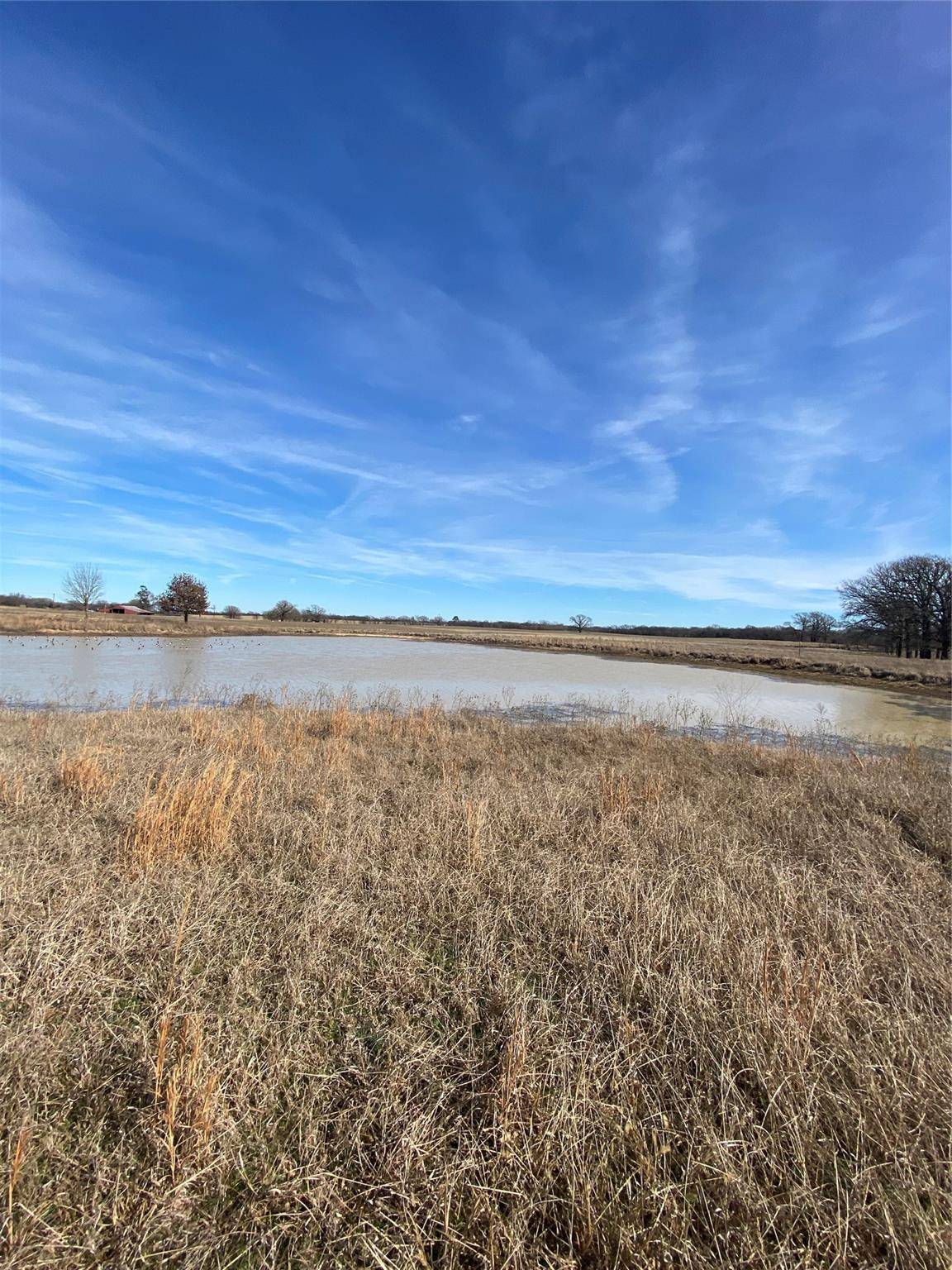 Saltillo, TX 75471,Lot 14 Farm Road 269 S