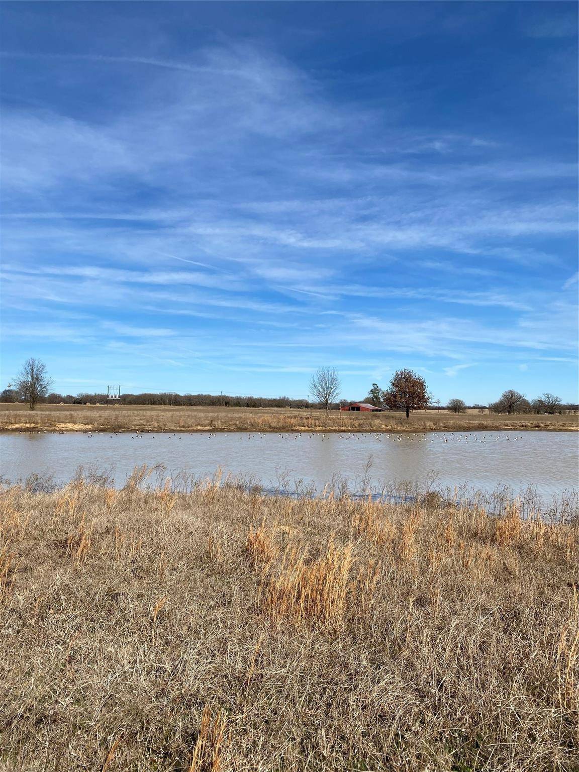 Saltillo, TX 75471,Lot 14 Farm Road 269 S