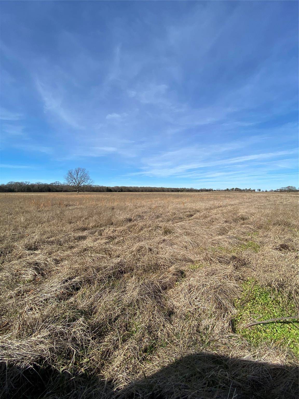 Saltillo, TX 75471,Lot 2 CR 3344 S