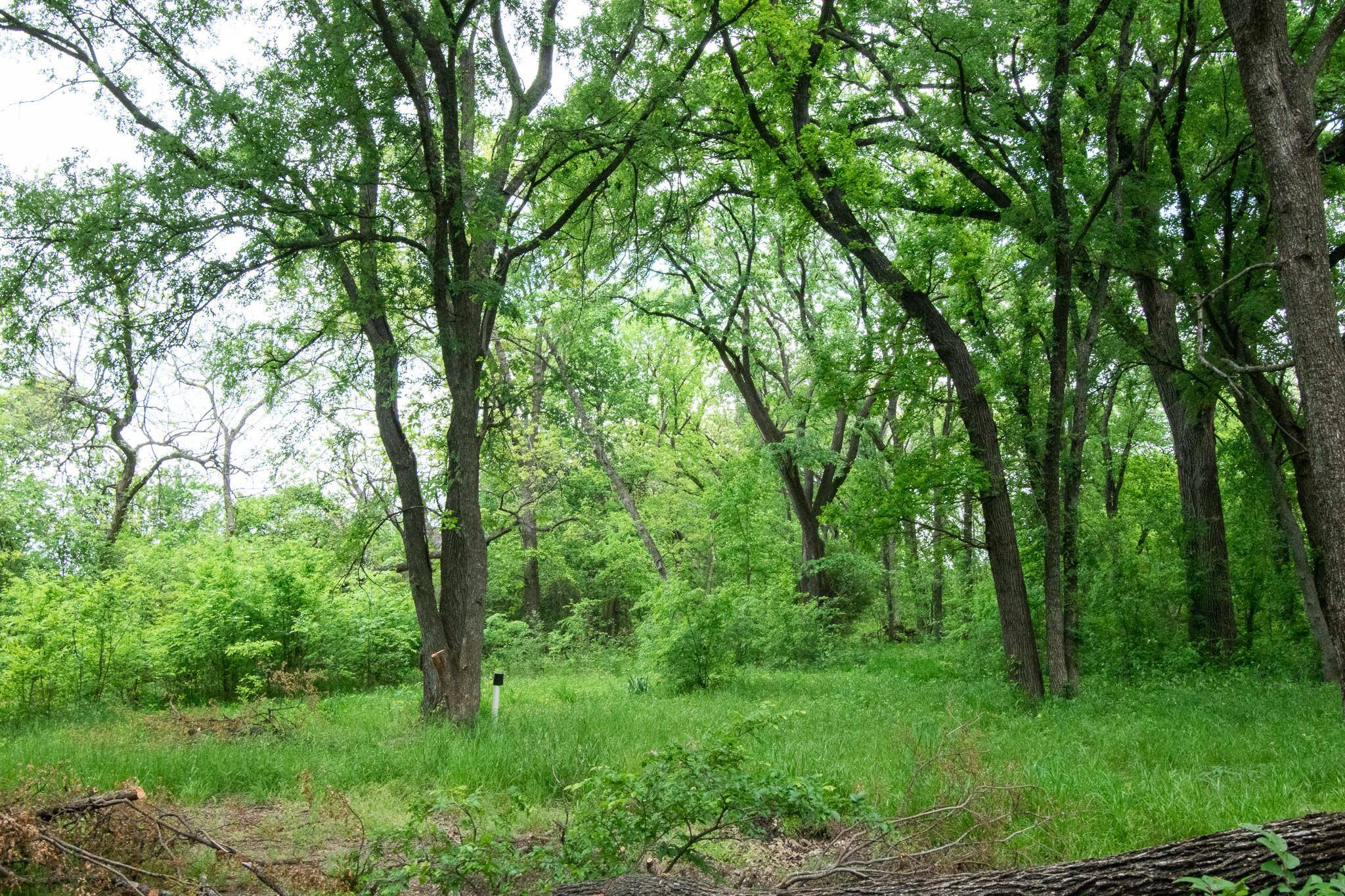 Alvarado, TX 76009,187 Quail Haven Street