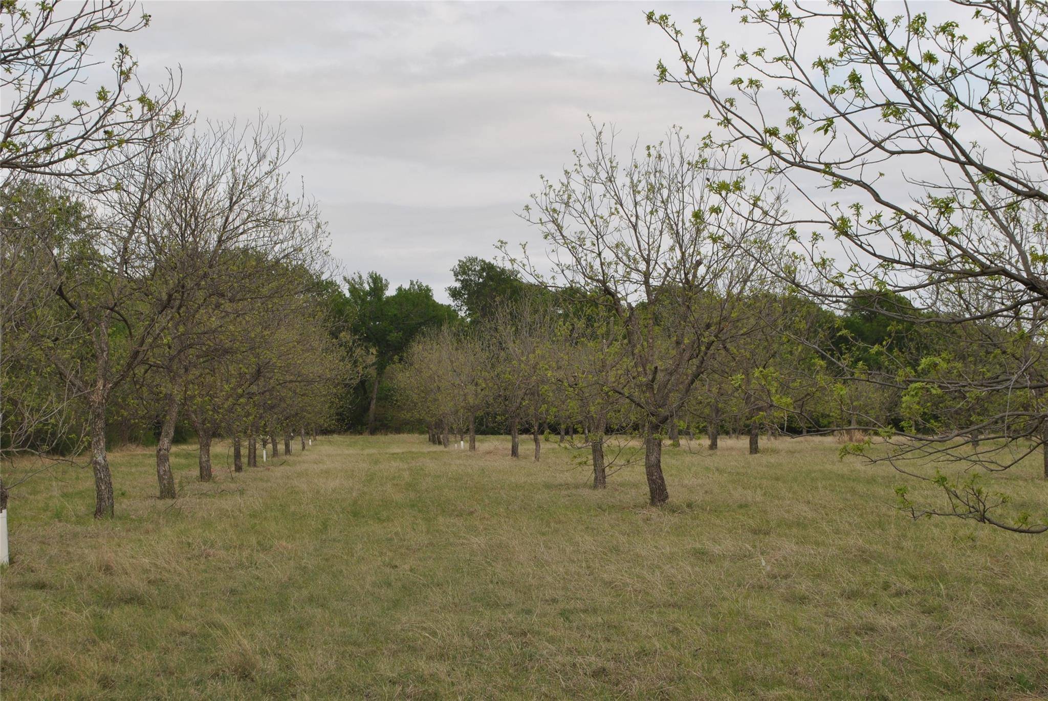 Gustine, TX 76455,TBD County Rd 360