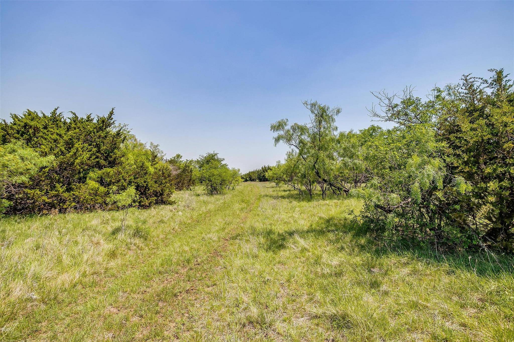 Graford, TX 76449,TRACT 7B 26.00 ACRES Mountain Drive