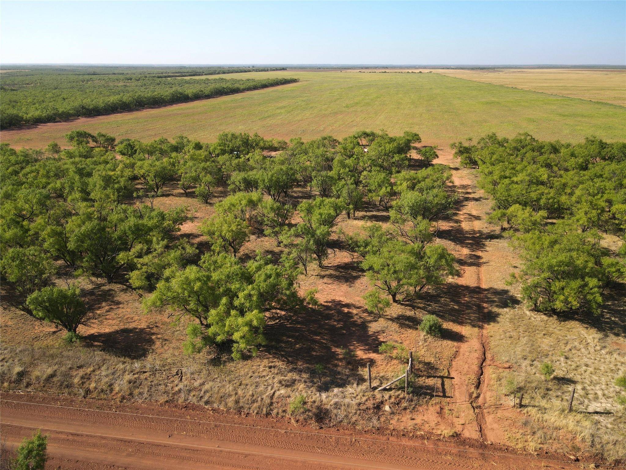 Haskell, TX 79521,193 Acres CR 430