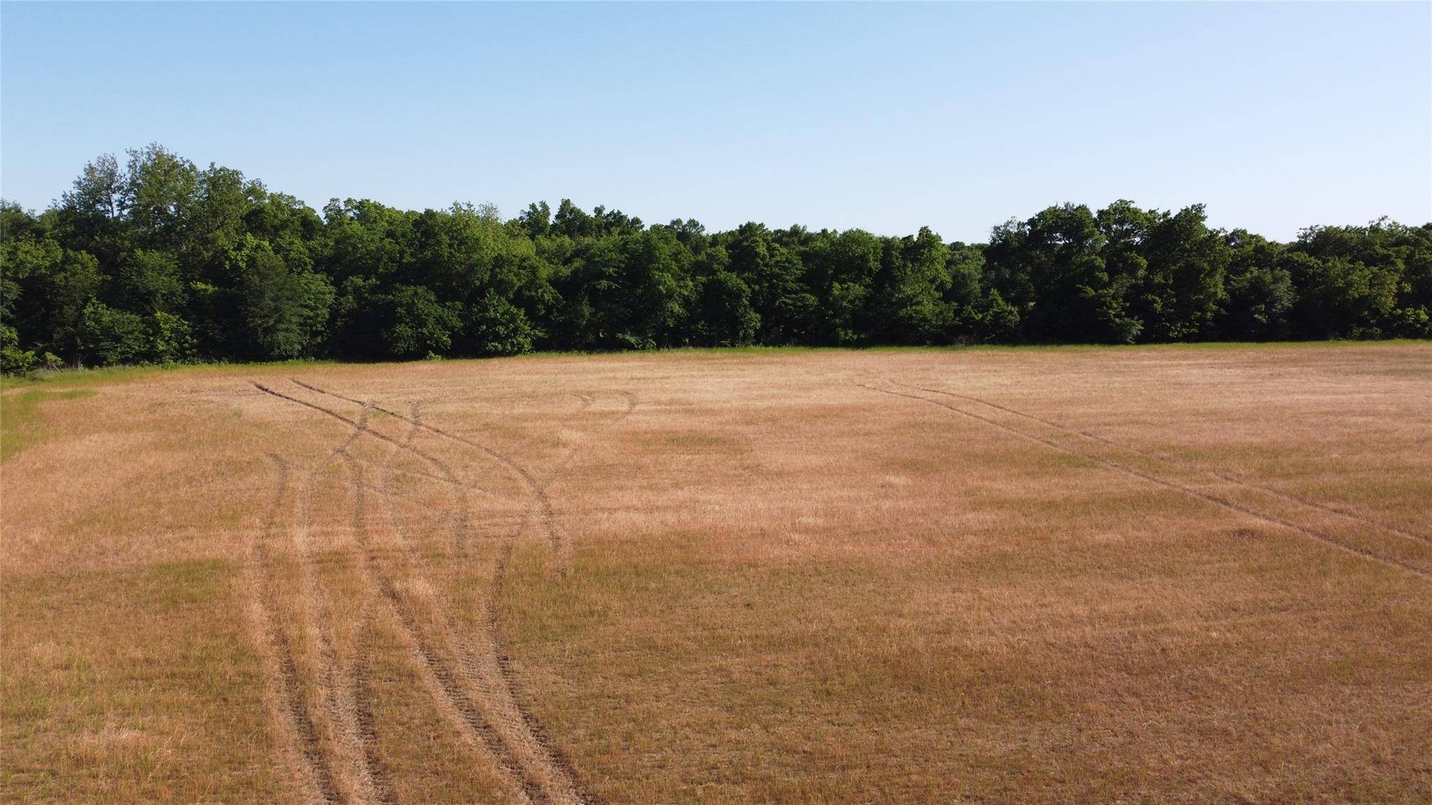 Farmersville, TX 75442,Lot 1 CR 1124