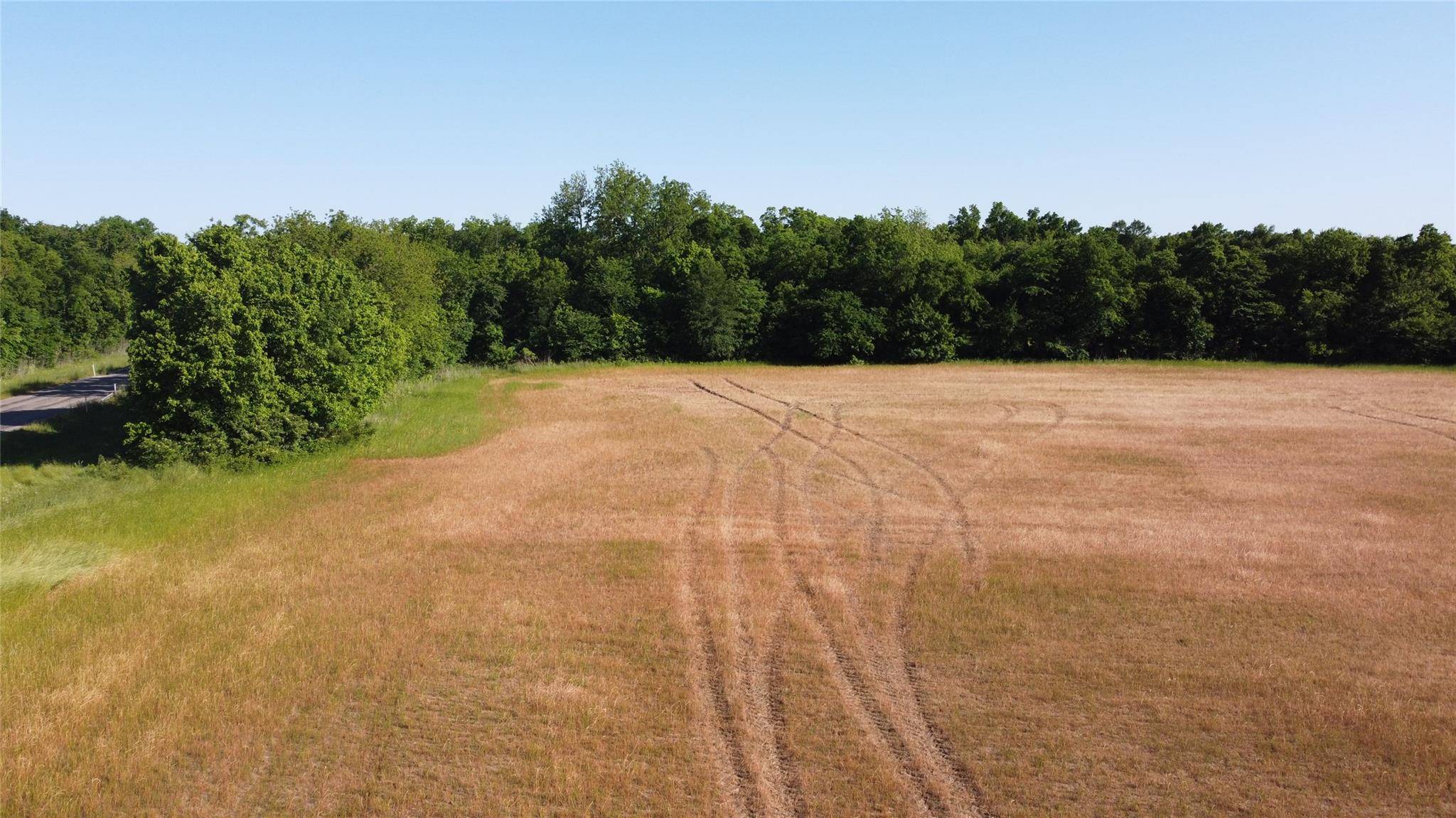 Farmersville, TX 75442,Lot 1 CR 1124