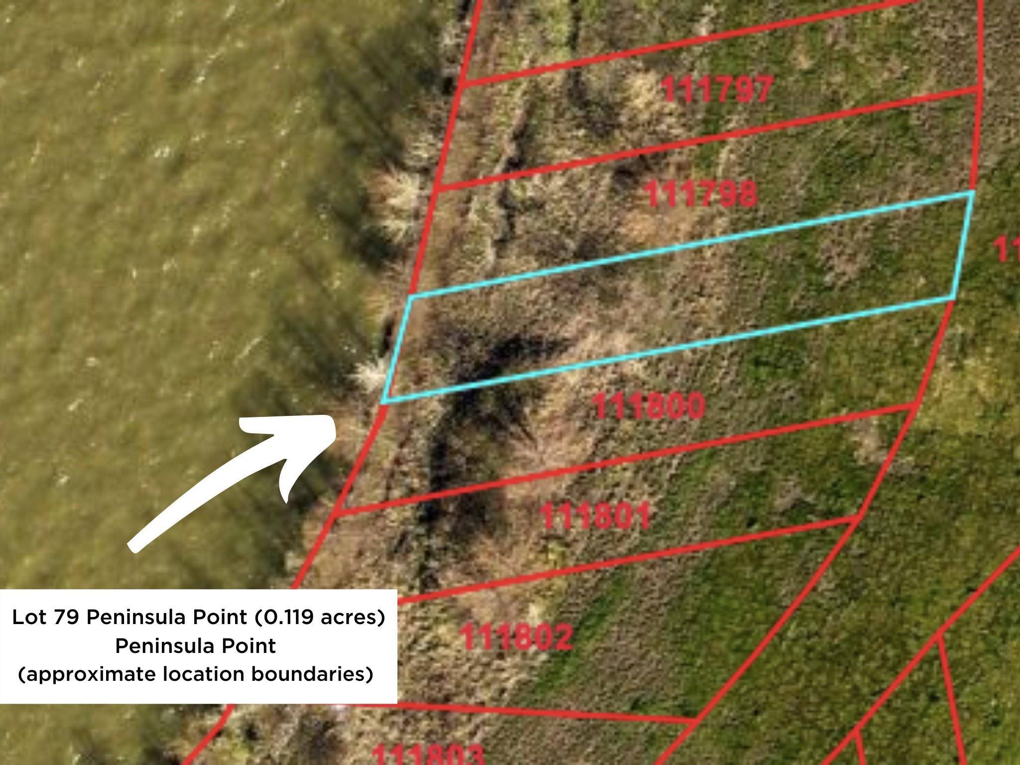 Kerens, TX 75144,Lot 79 Peninsula Point