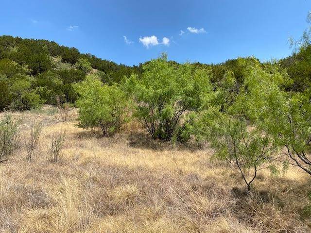 Graford, TX 76449,Lot 141 Canyon Wren S