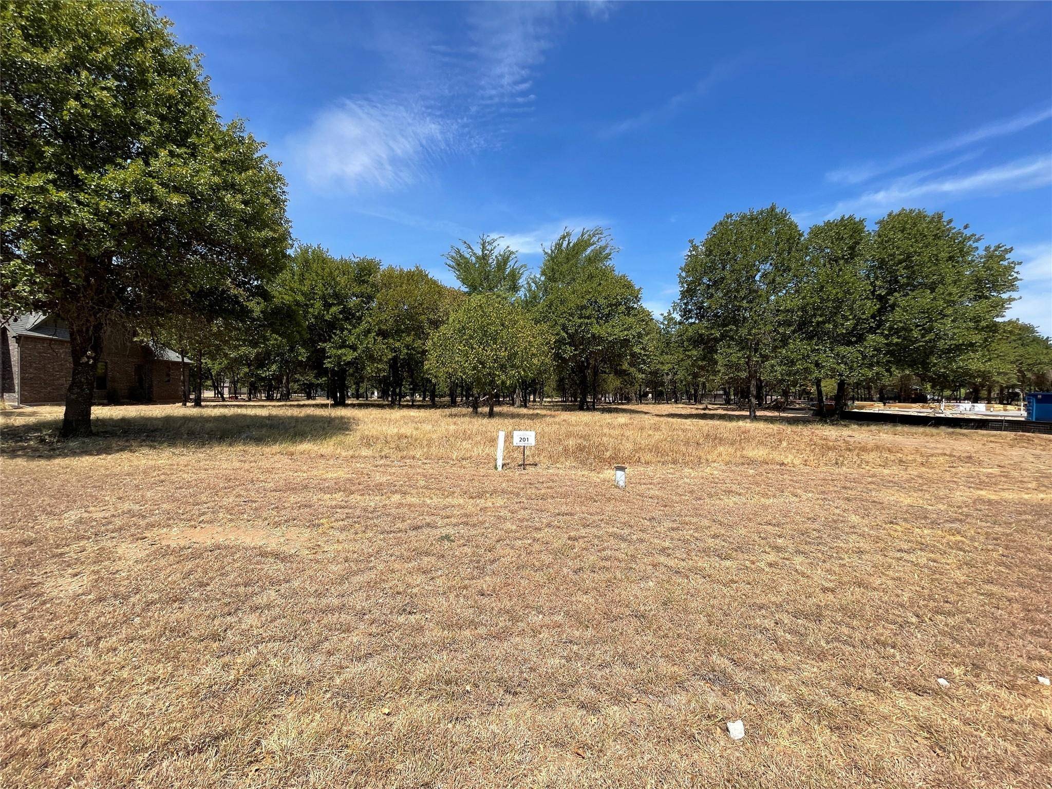 Lipan, TX 76462,000 S Sugartree Drive