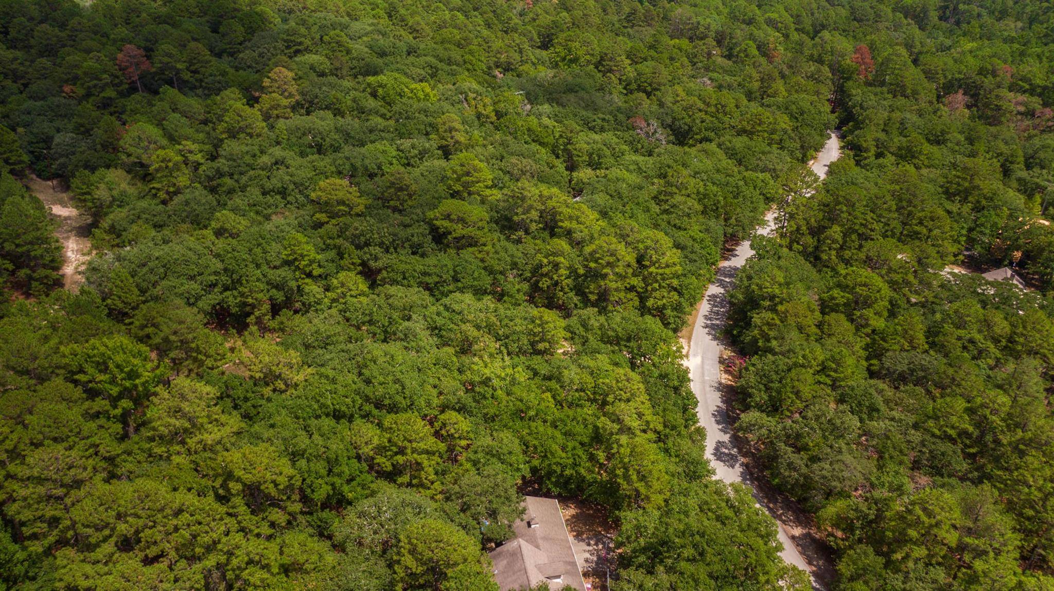 Holly Lake Ranch, TX 75765,Lot 345 Winding Trail