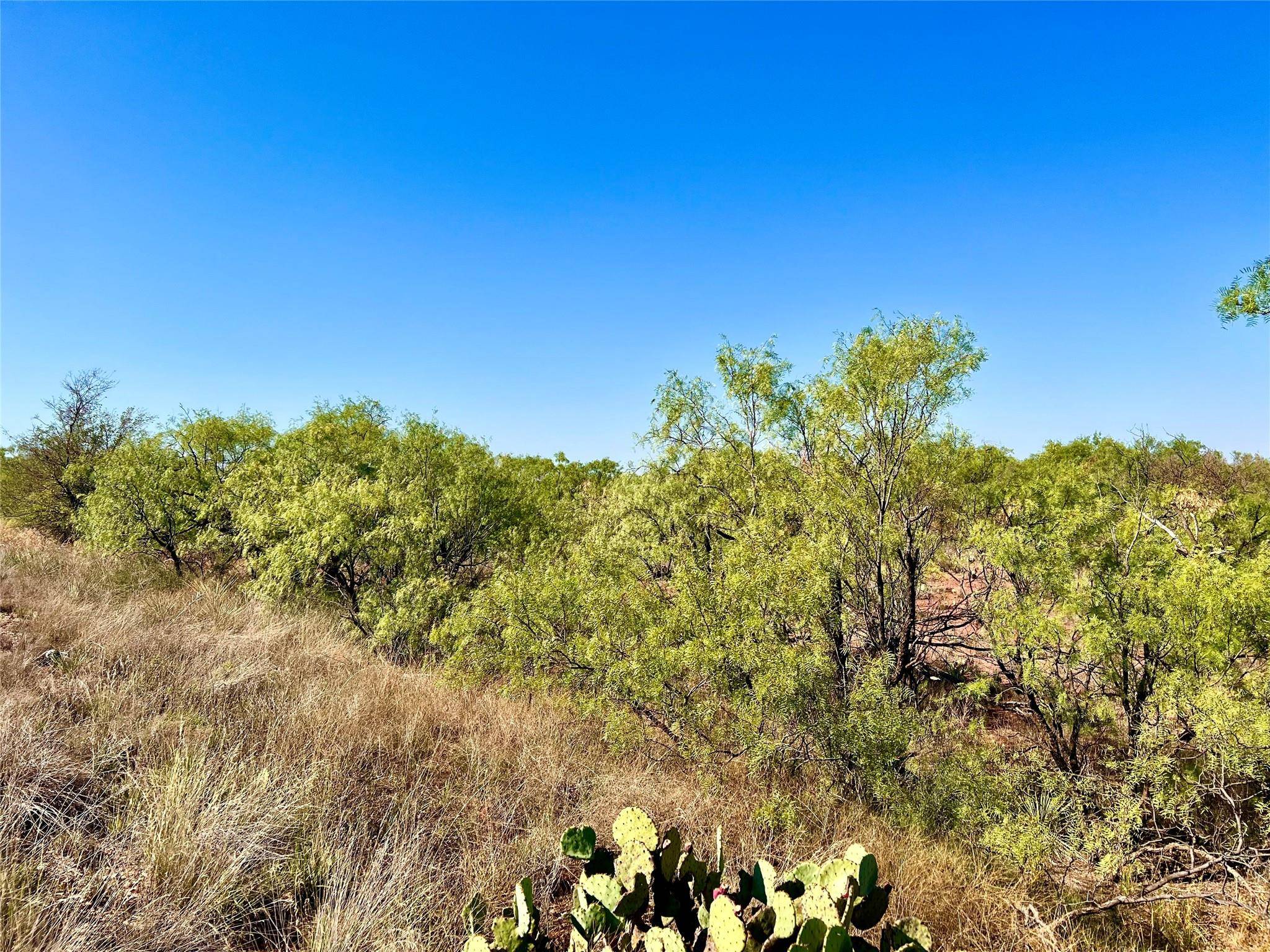 Stamford, TX 79553,TBD E North Cemetery Road