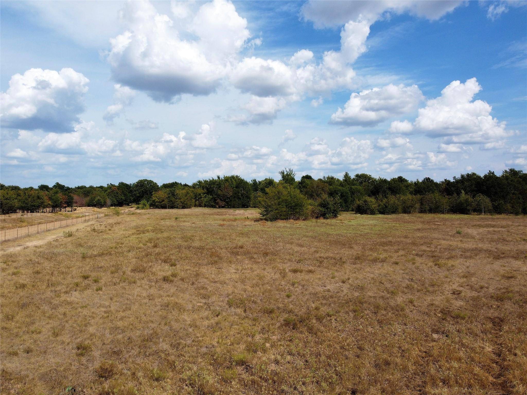 Wolfe City, TX 75496,28 ac County Rd 4901