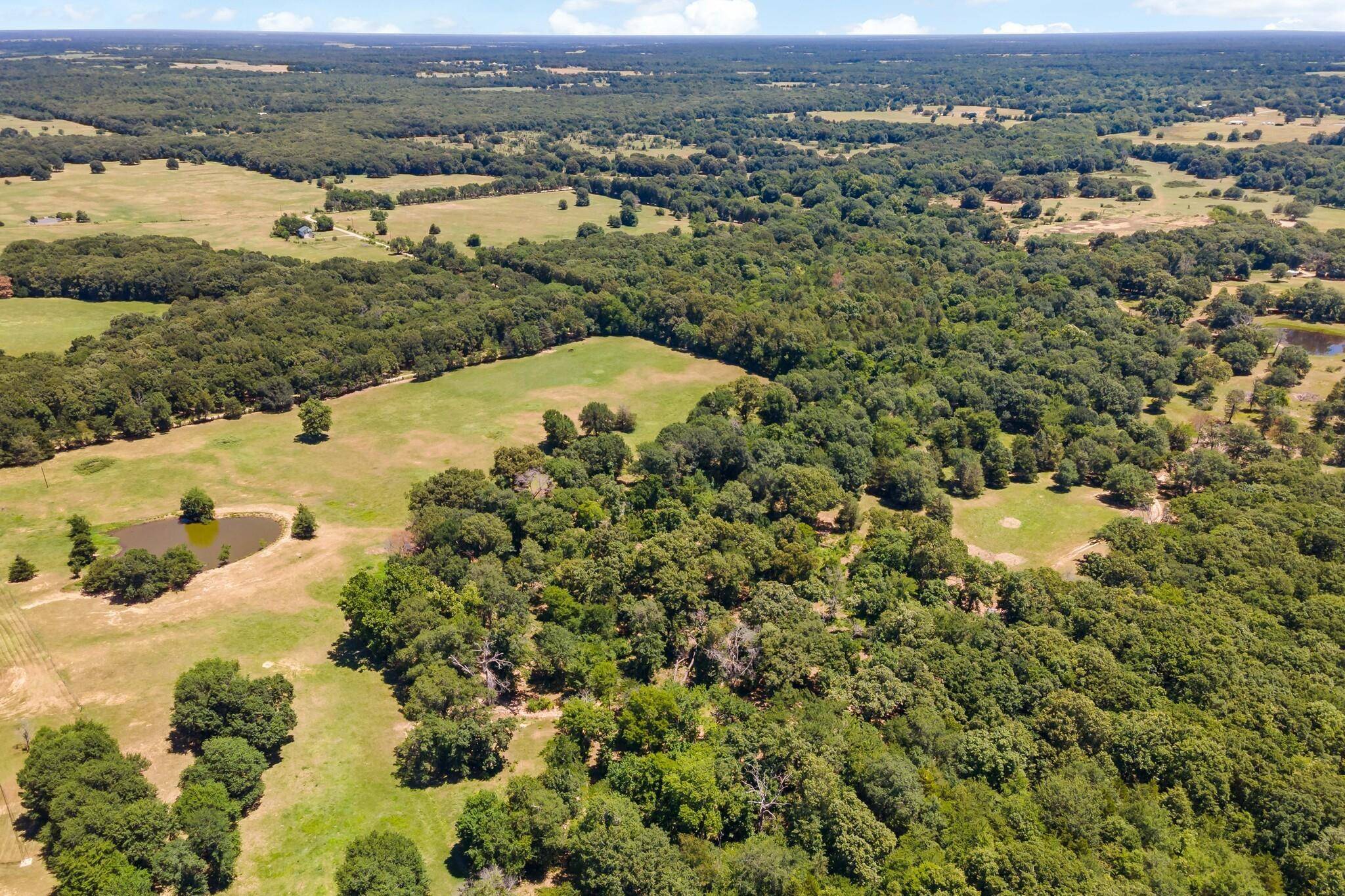 Honey Grove, TX 75446,000 County Rd 2411