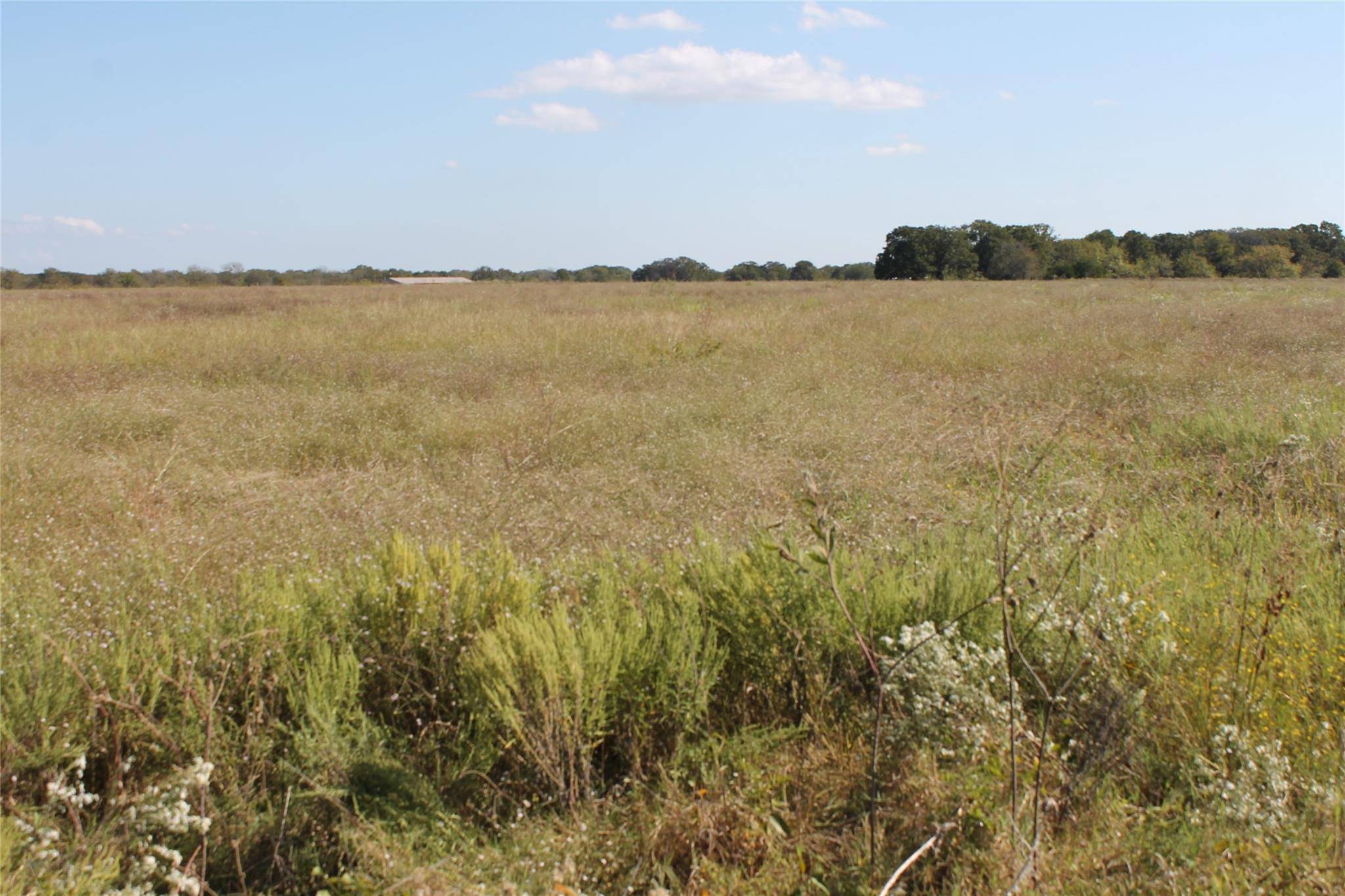 Kemp, TX 75143,2540 W Cedar Creek Pkwy Lot 3 Highway