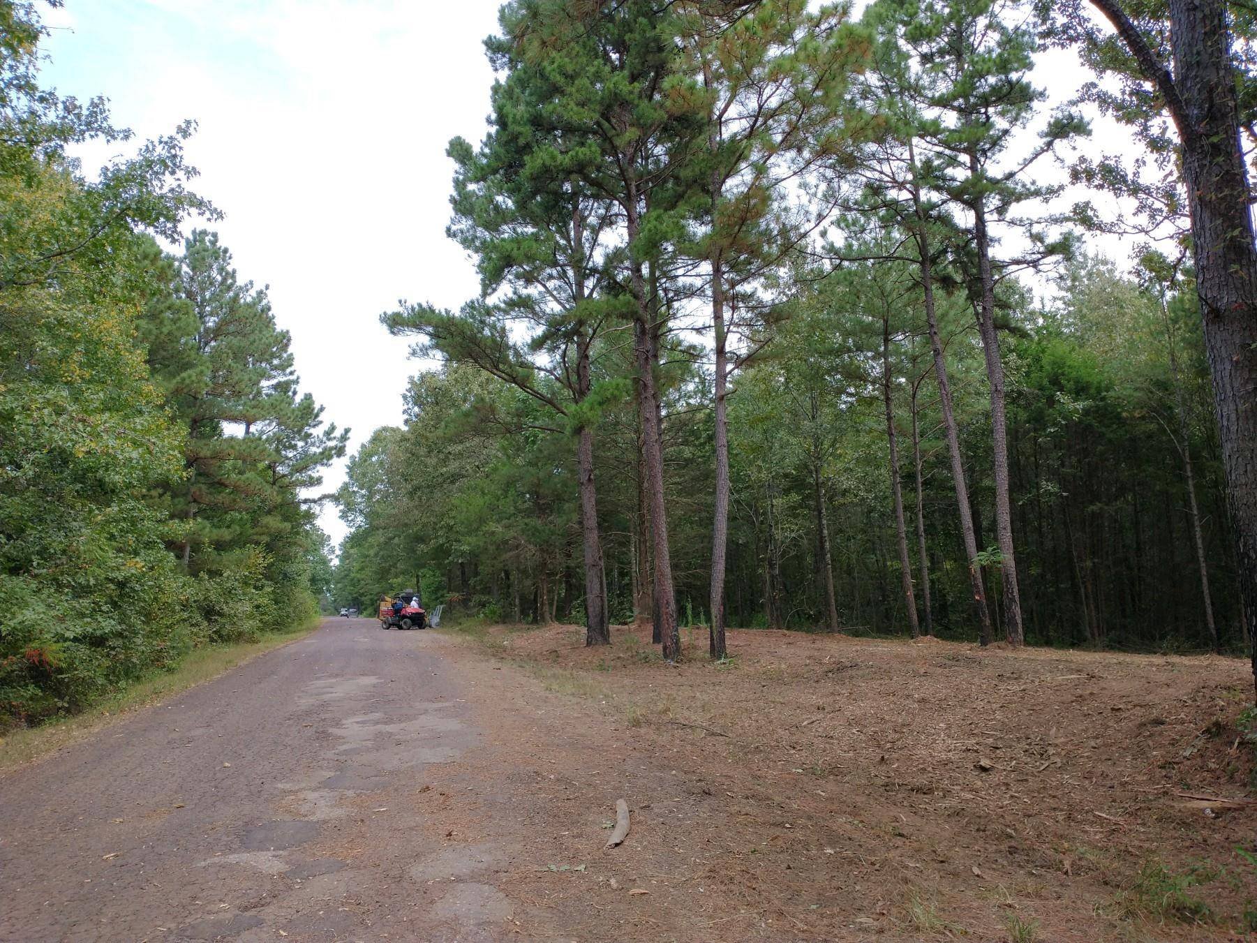 Gilmer, TX 75644,0000 Ginger Road