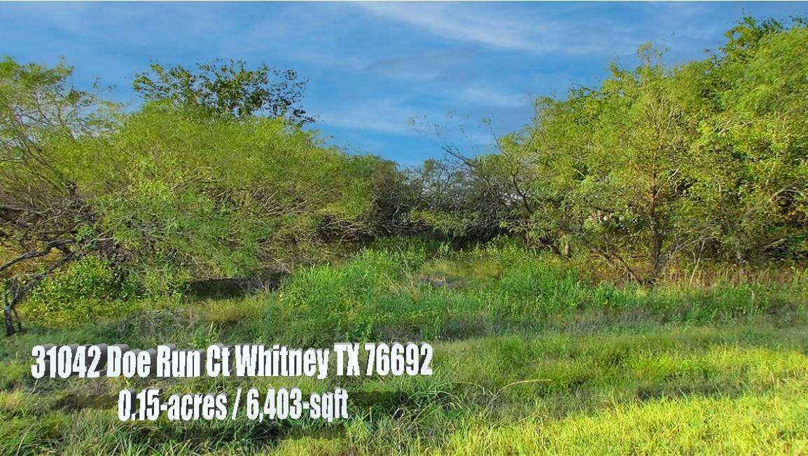 Whitney, TX 76692,31042 Doe Run Court