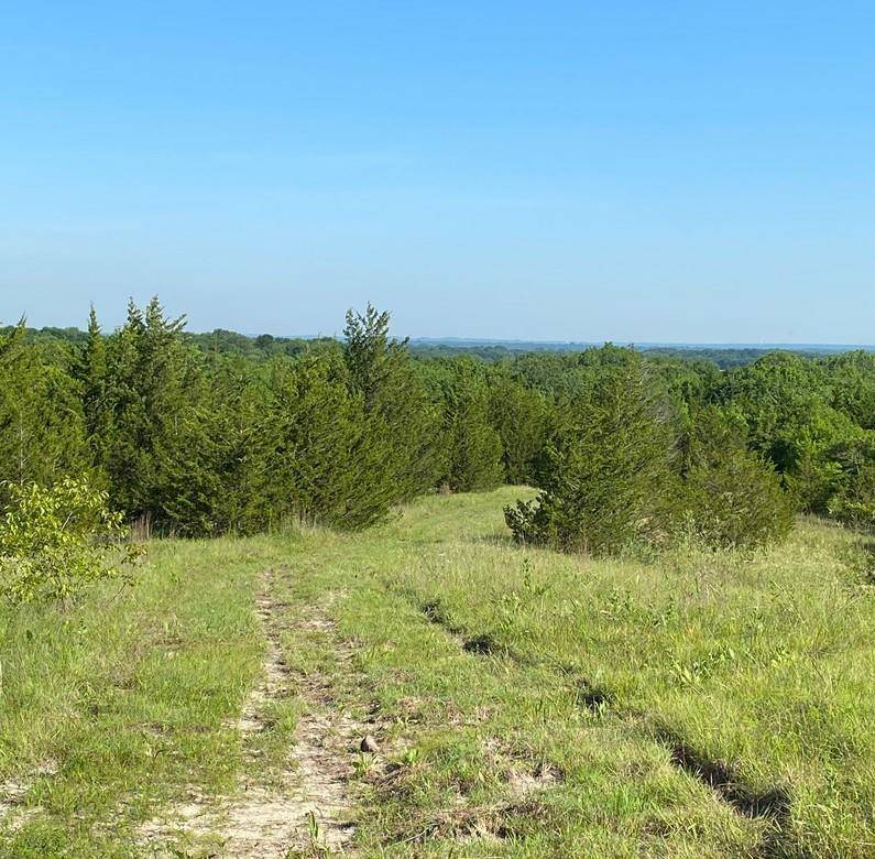 Bells, TX 75414,TBD 3a E STATE HWY 56