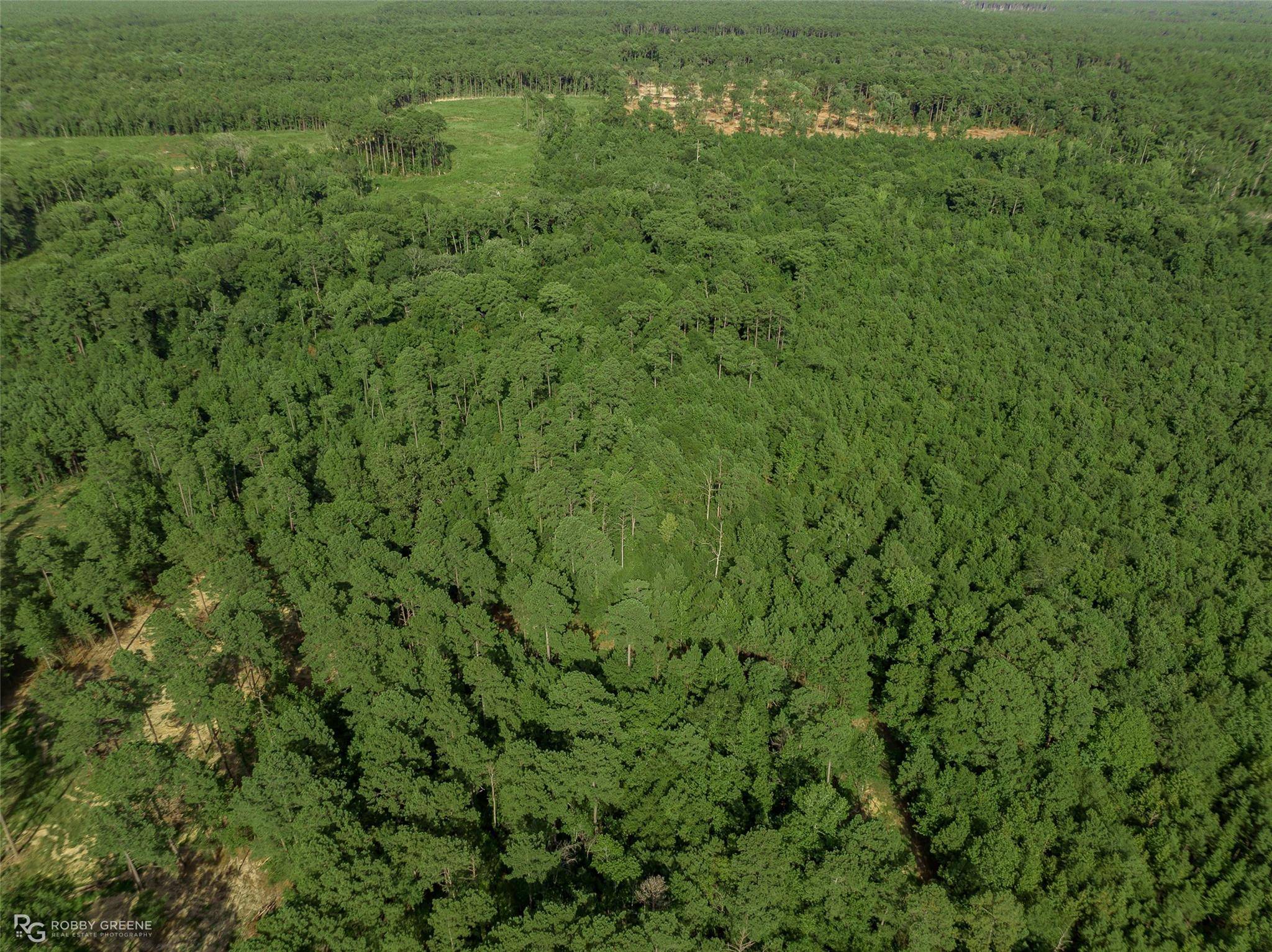 Benton, LA 71006,0 Alden Bridge Loop