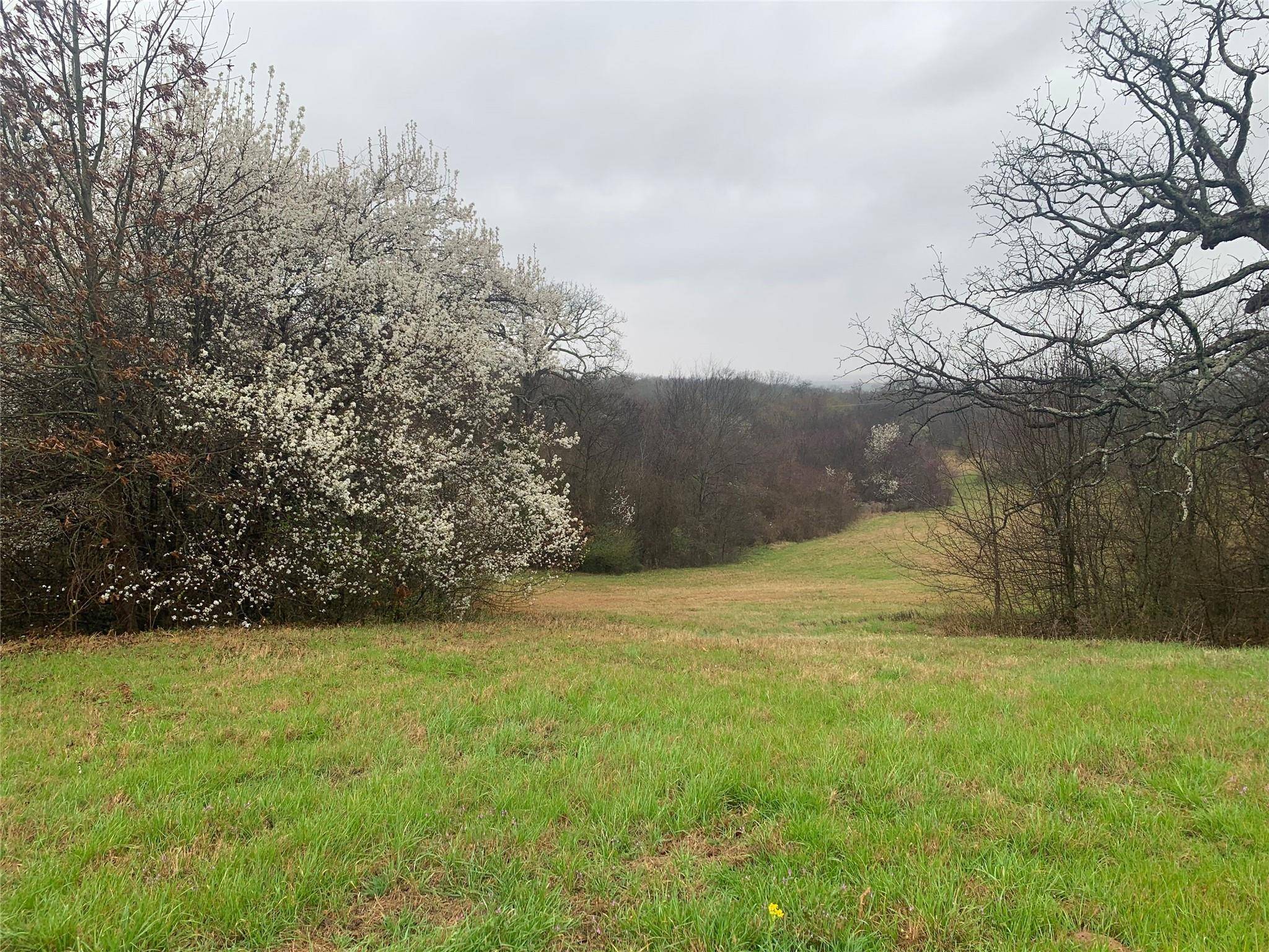 Athens, TX 75752,TBD OVERLOOK Point