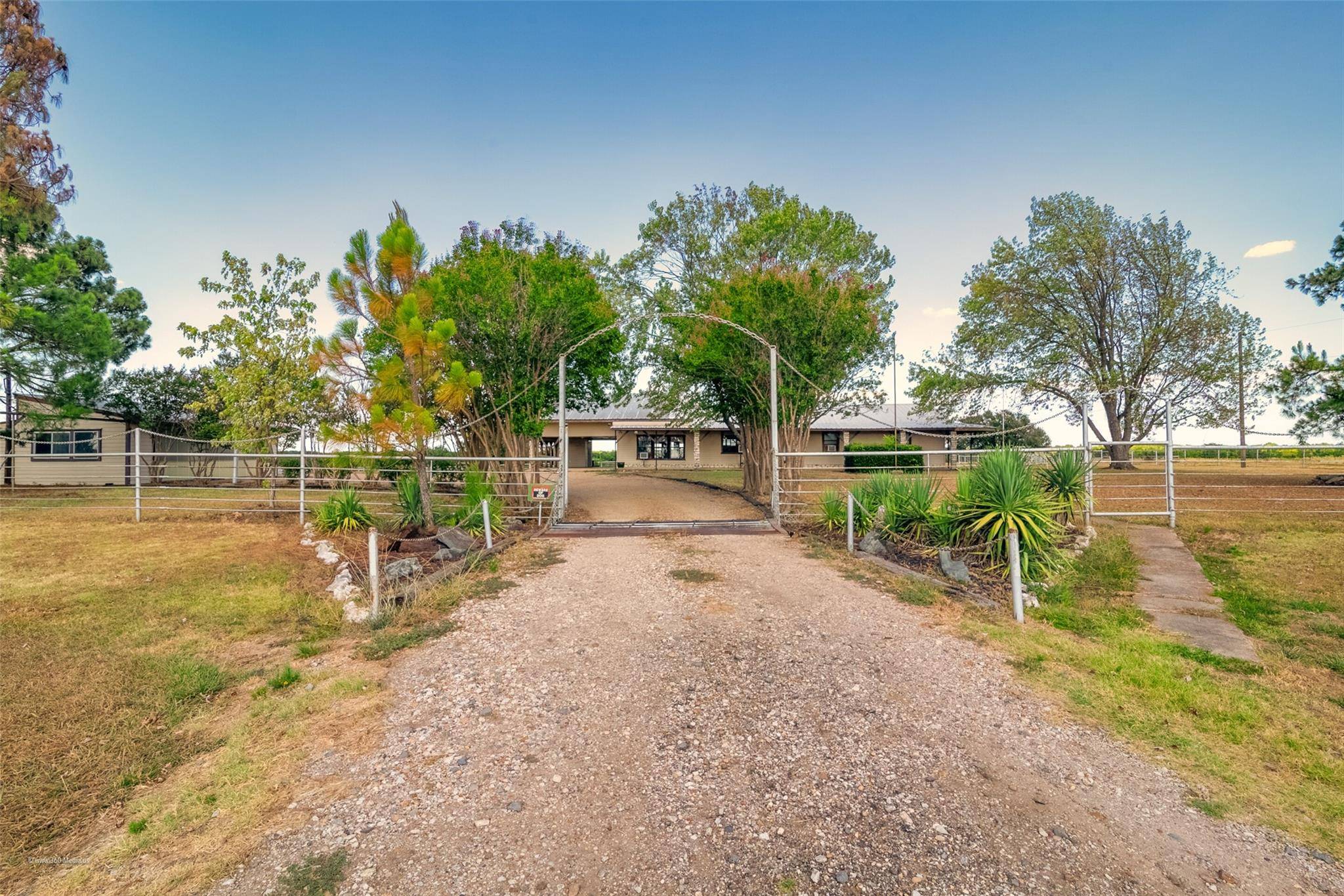 Campbell, TX 75422,1643 County Road 4109