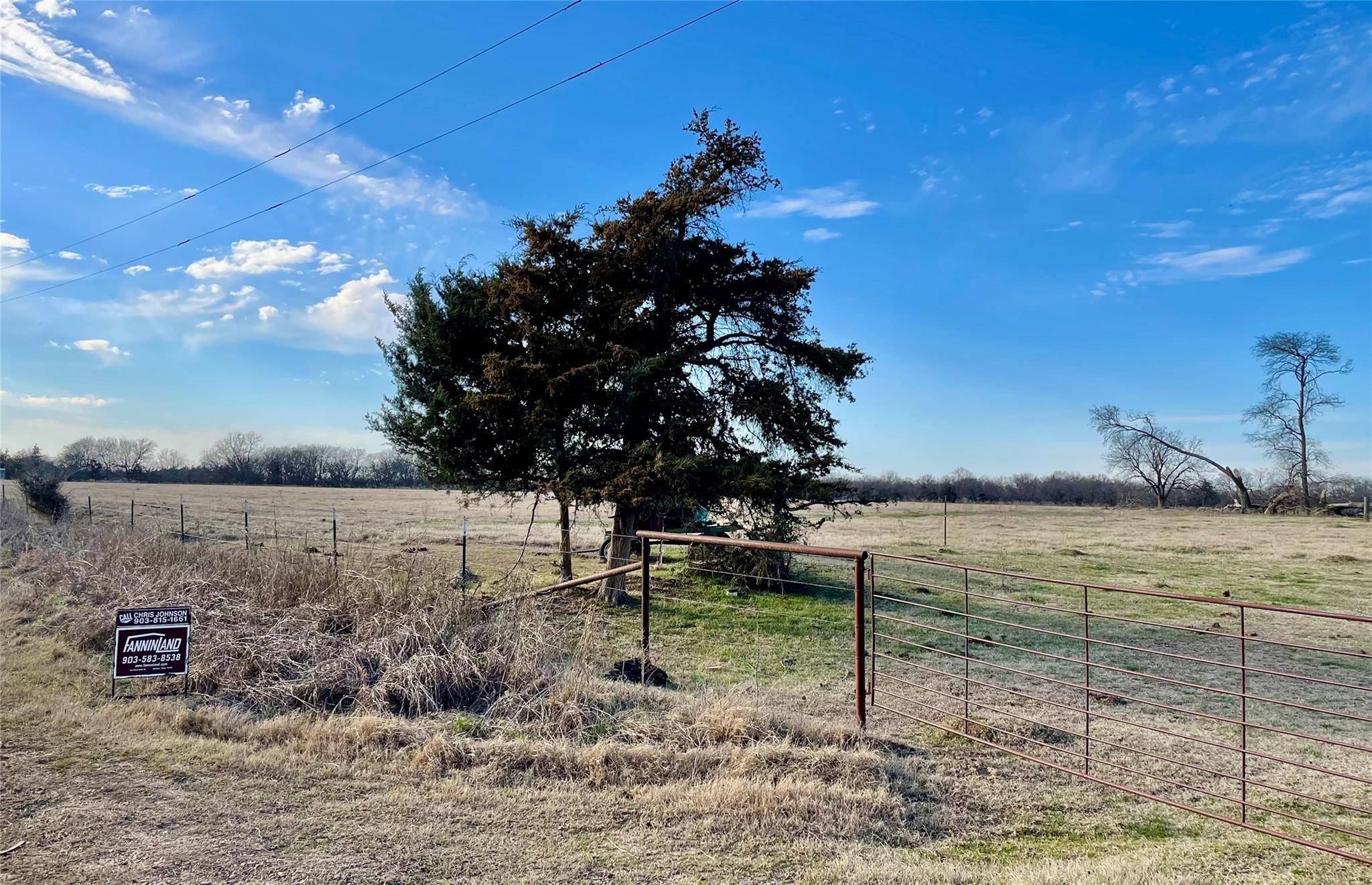 Honey Grove, TX 75446,TBD County Rd 2810 N Side Road