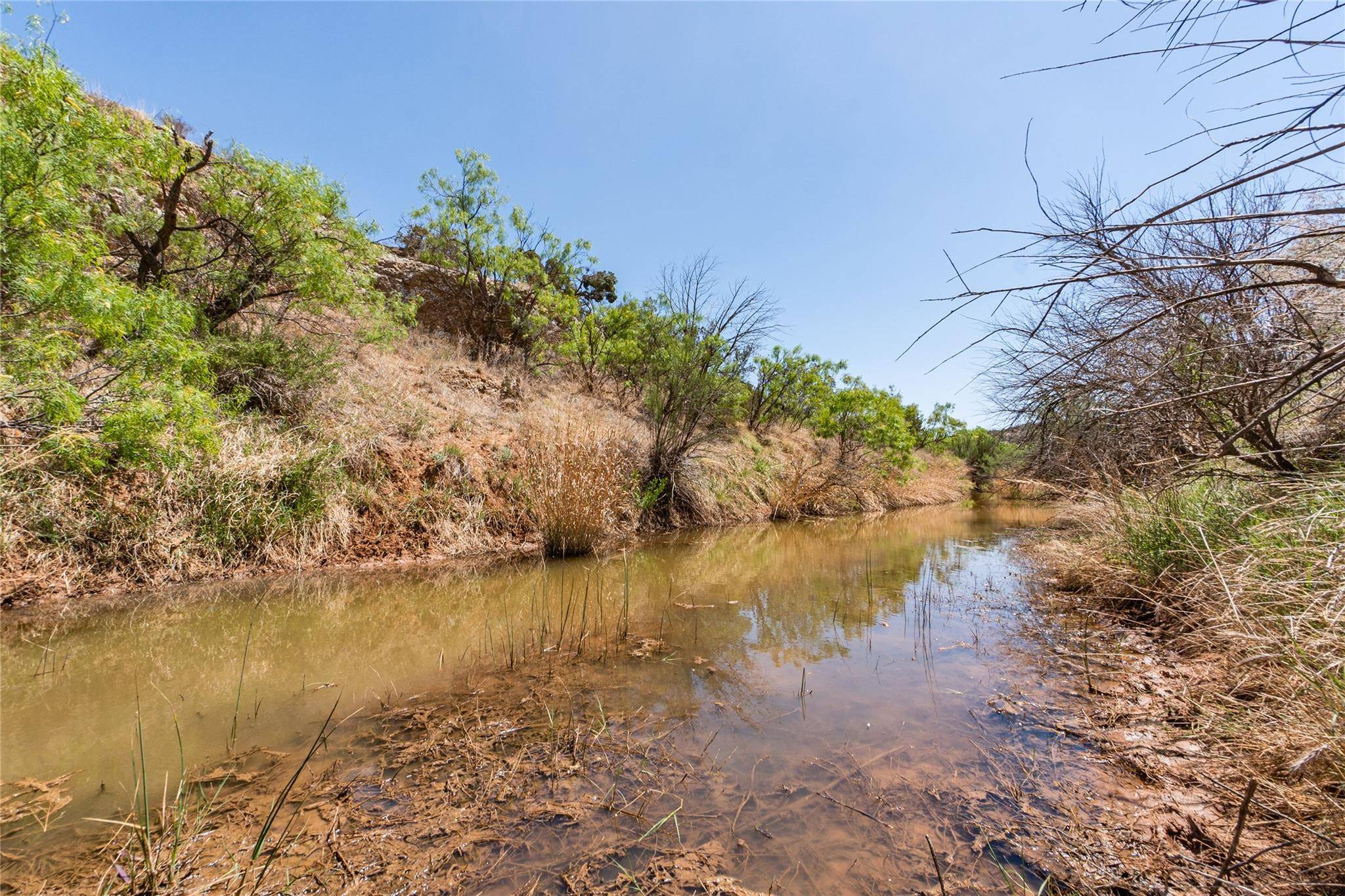 Aspermont, TX 79502,TBD CR 207