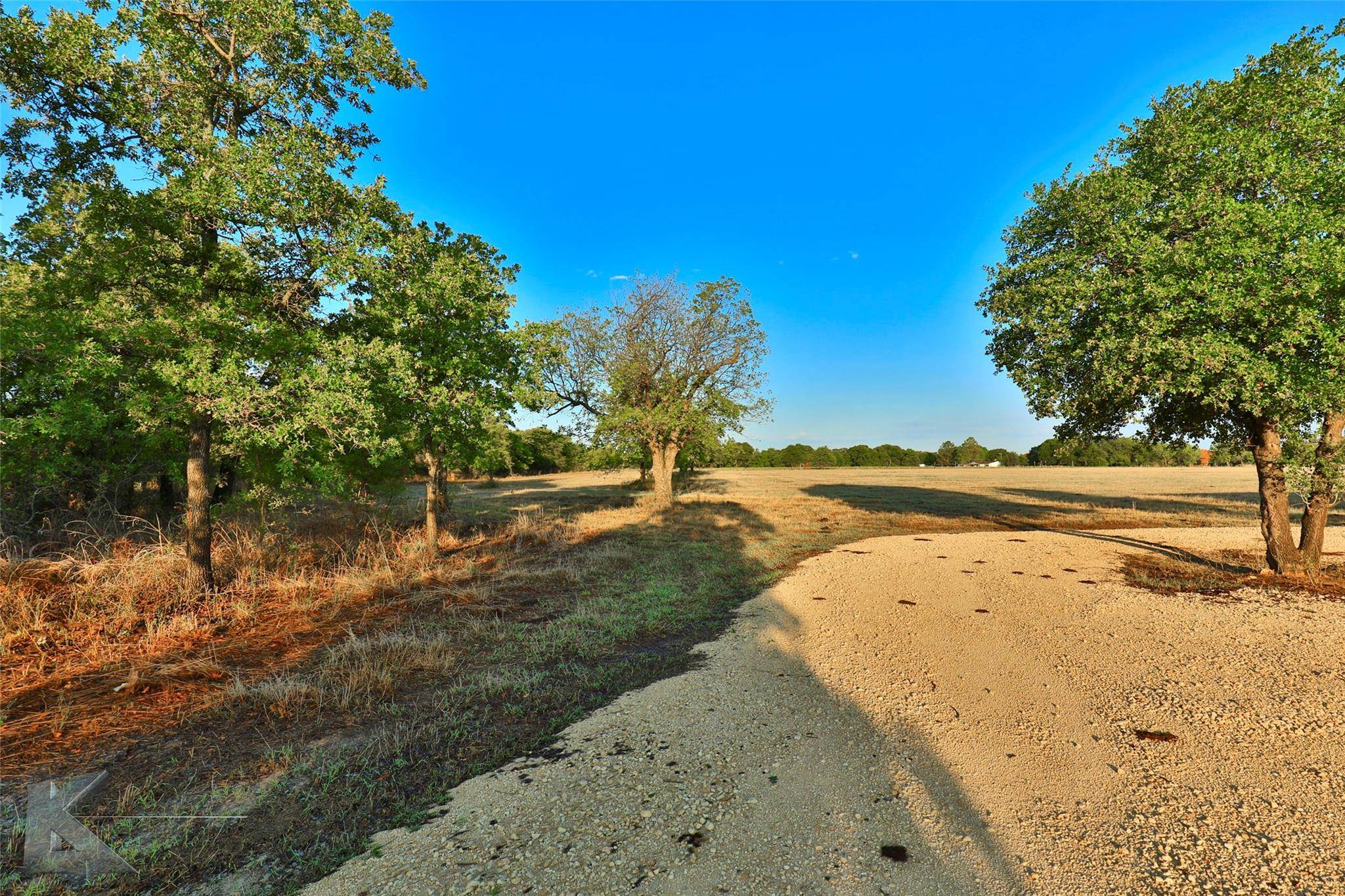 Baird, TX 79504,2600 County Road 246