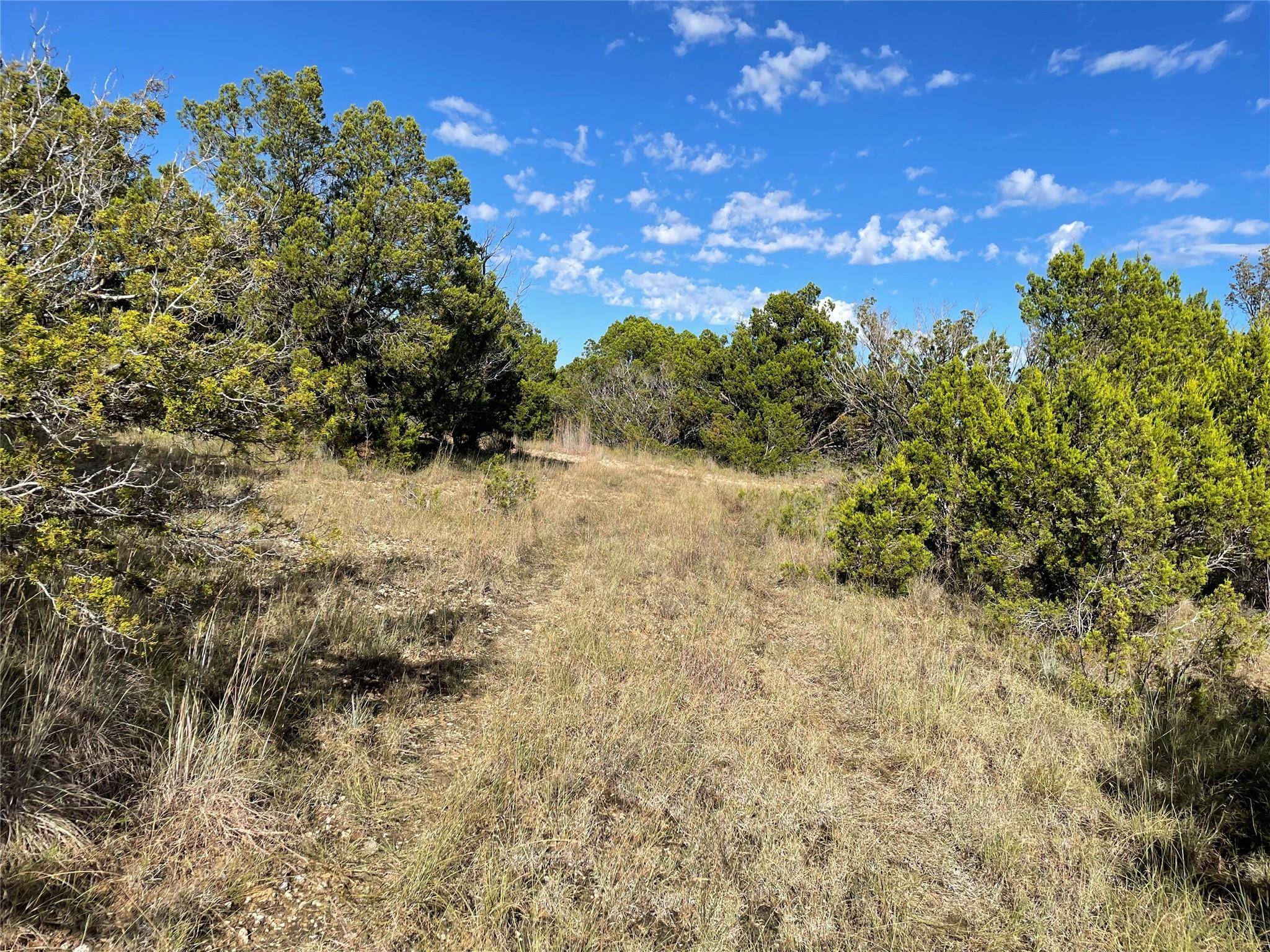 Tuscola, TX 79562,TBD Rustic Ridge