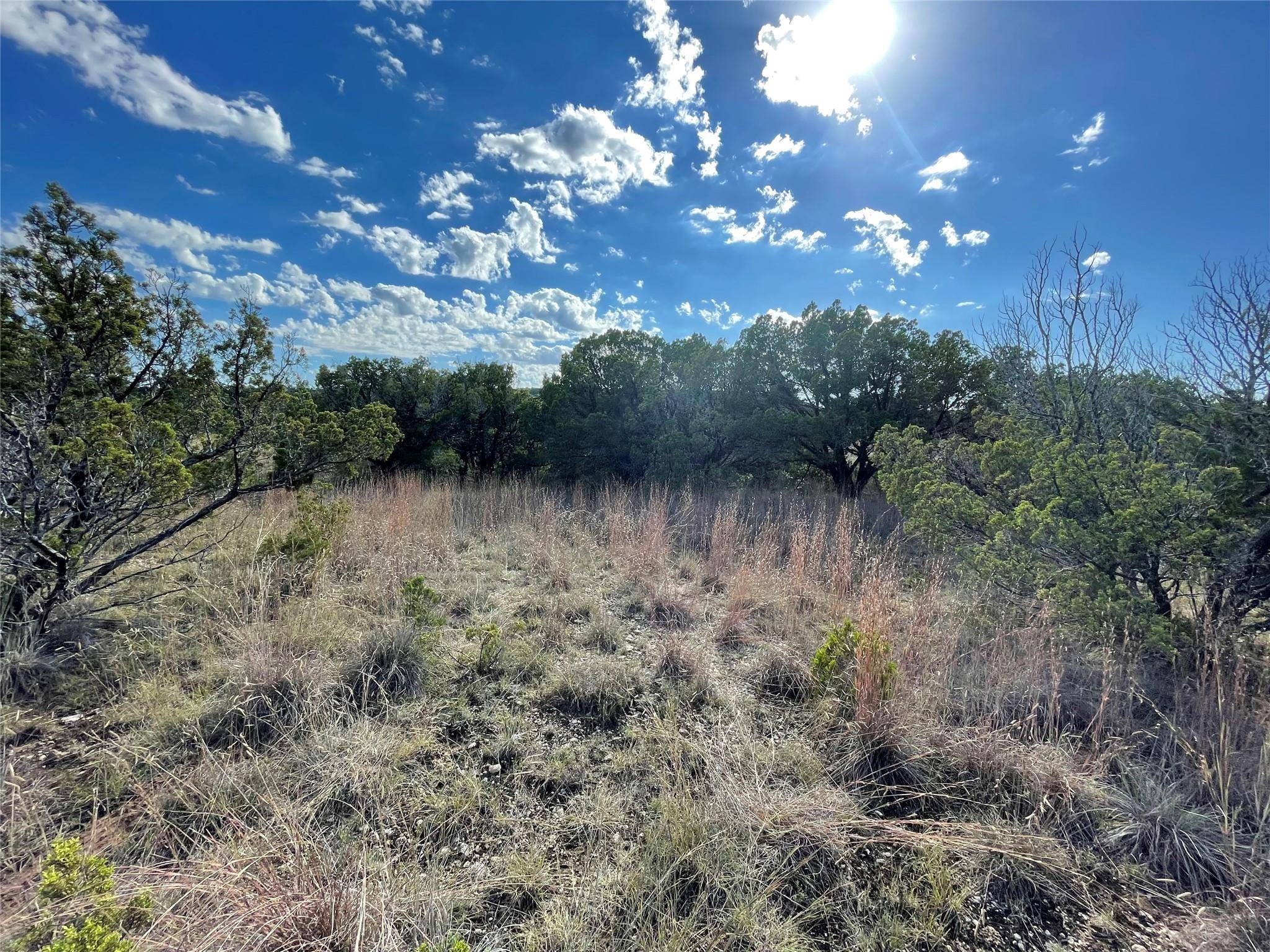 Tuscola, TX 79562,TBD Rustic Ridge